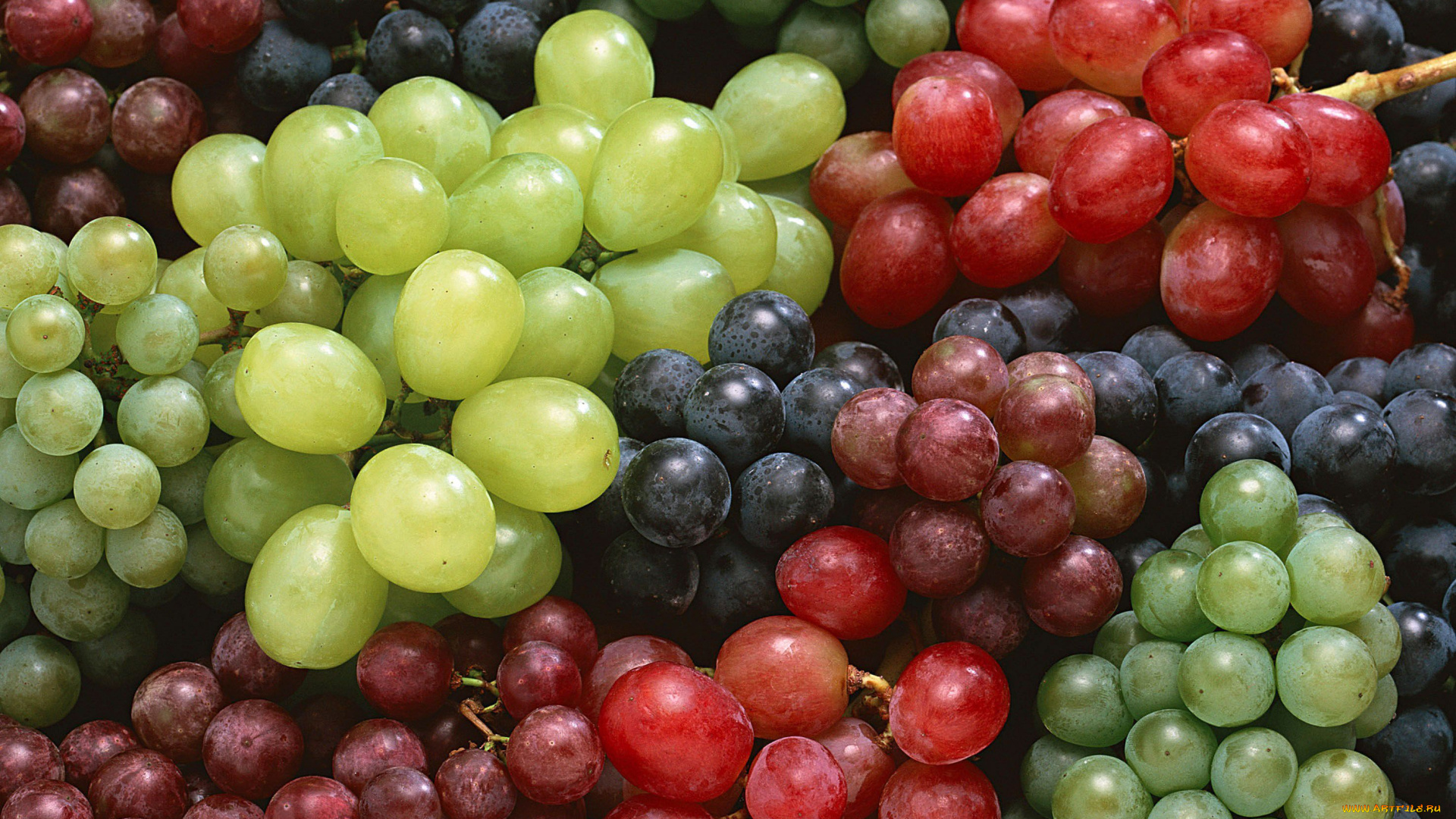 еда, виноград, красный, зелёный, синий