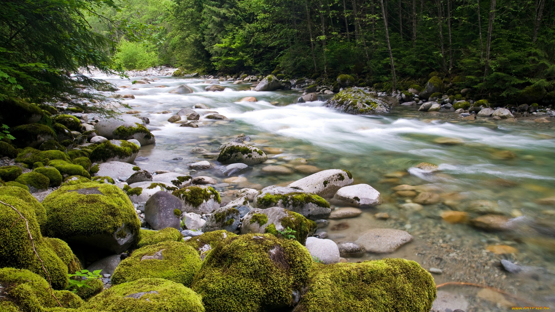 природа, реки, озера, вода, течение, поток, камни, деревья