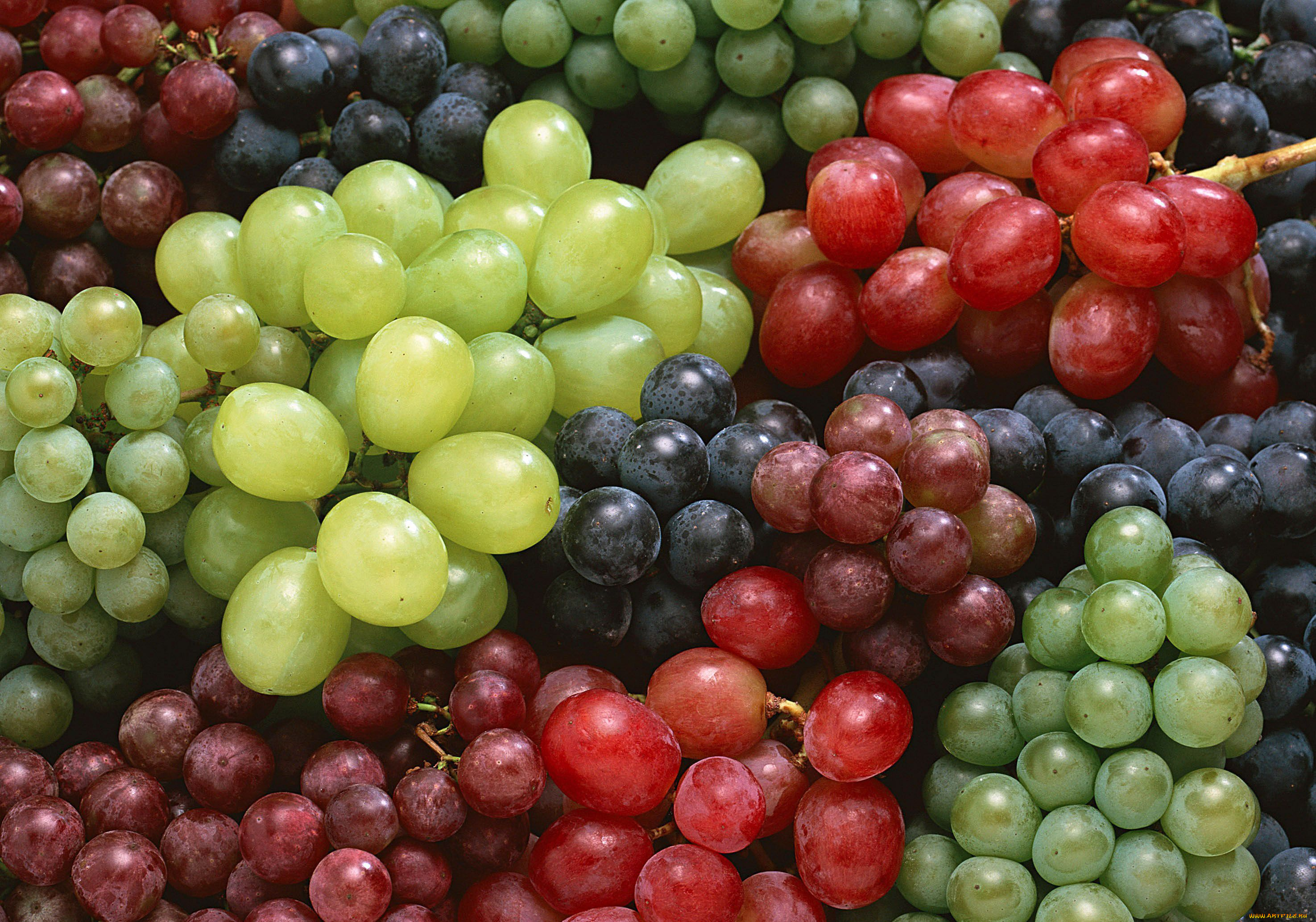 еда, виноград, красный, зелёный, синий