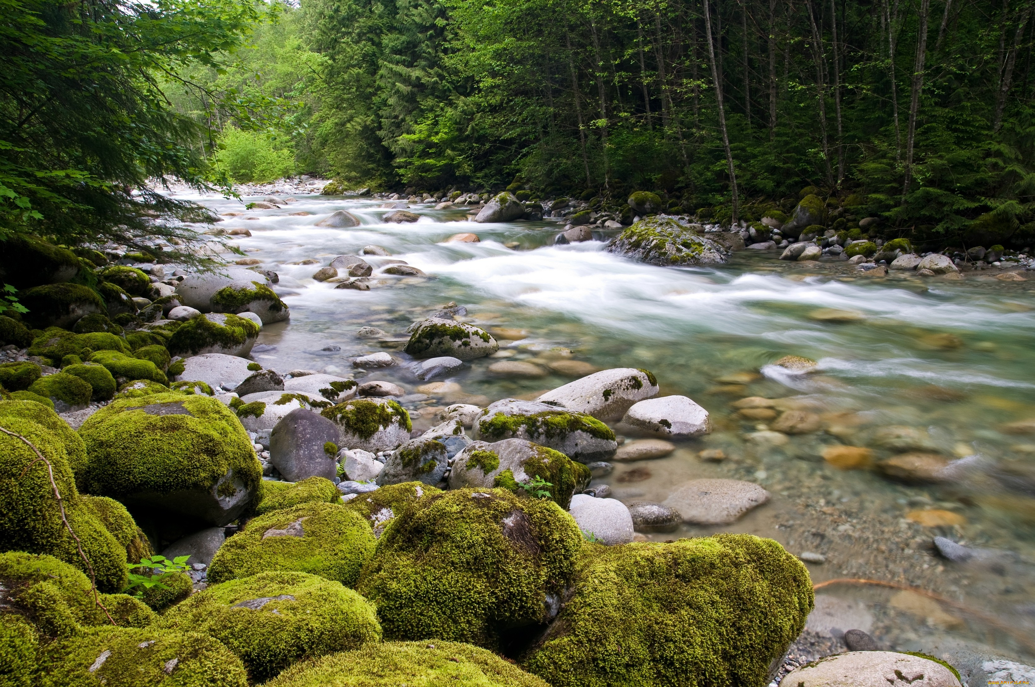 природа, реки, озера, вода, течение, поток, камни, деревья