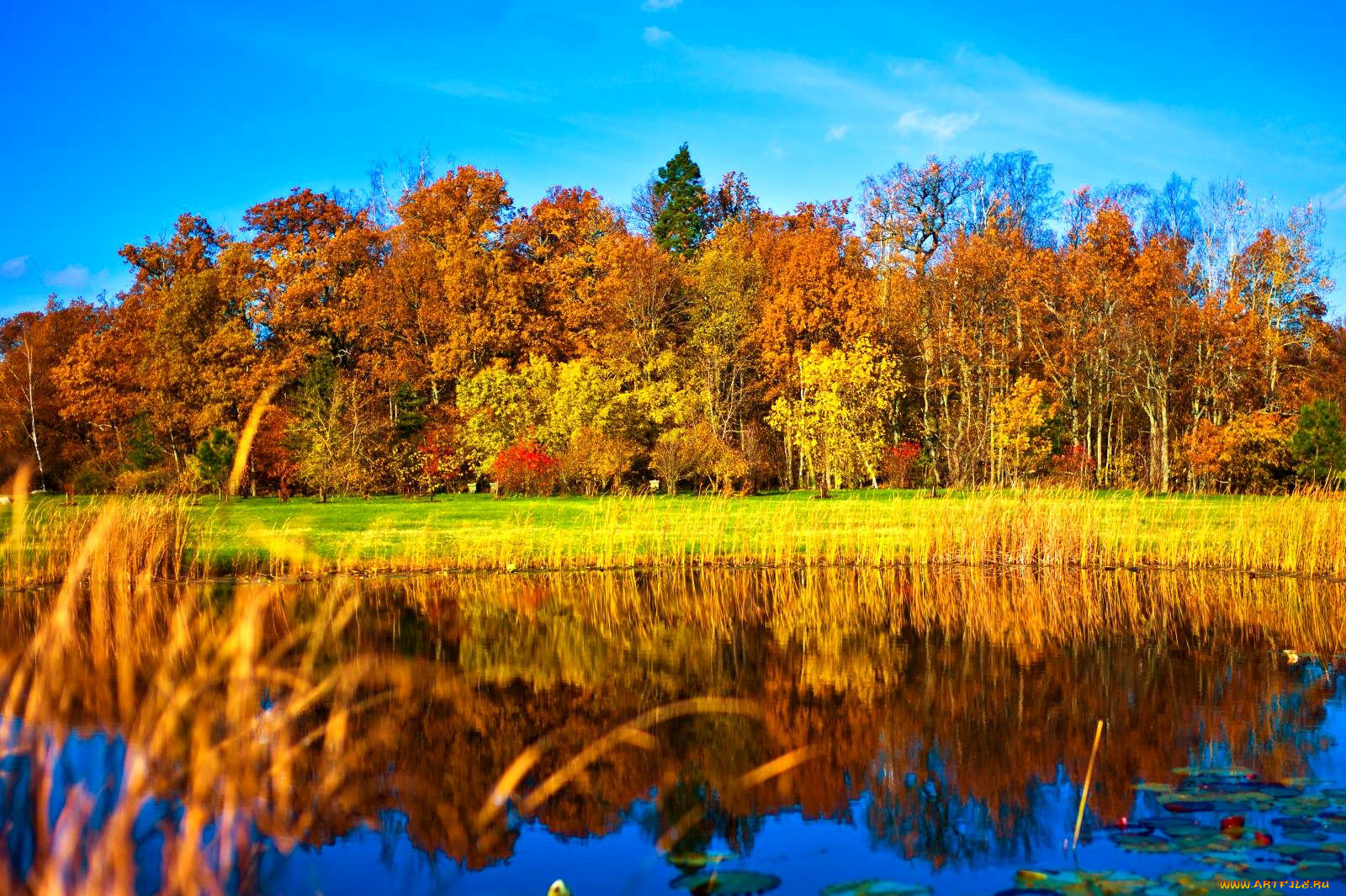 природа, реки, озера, вода, осень, деревья, отражение