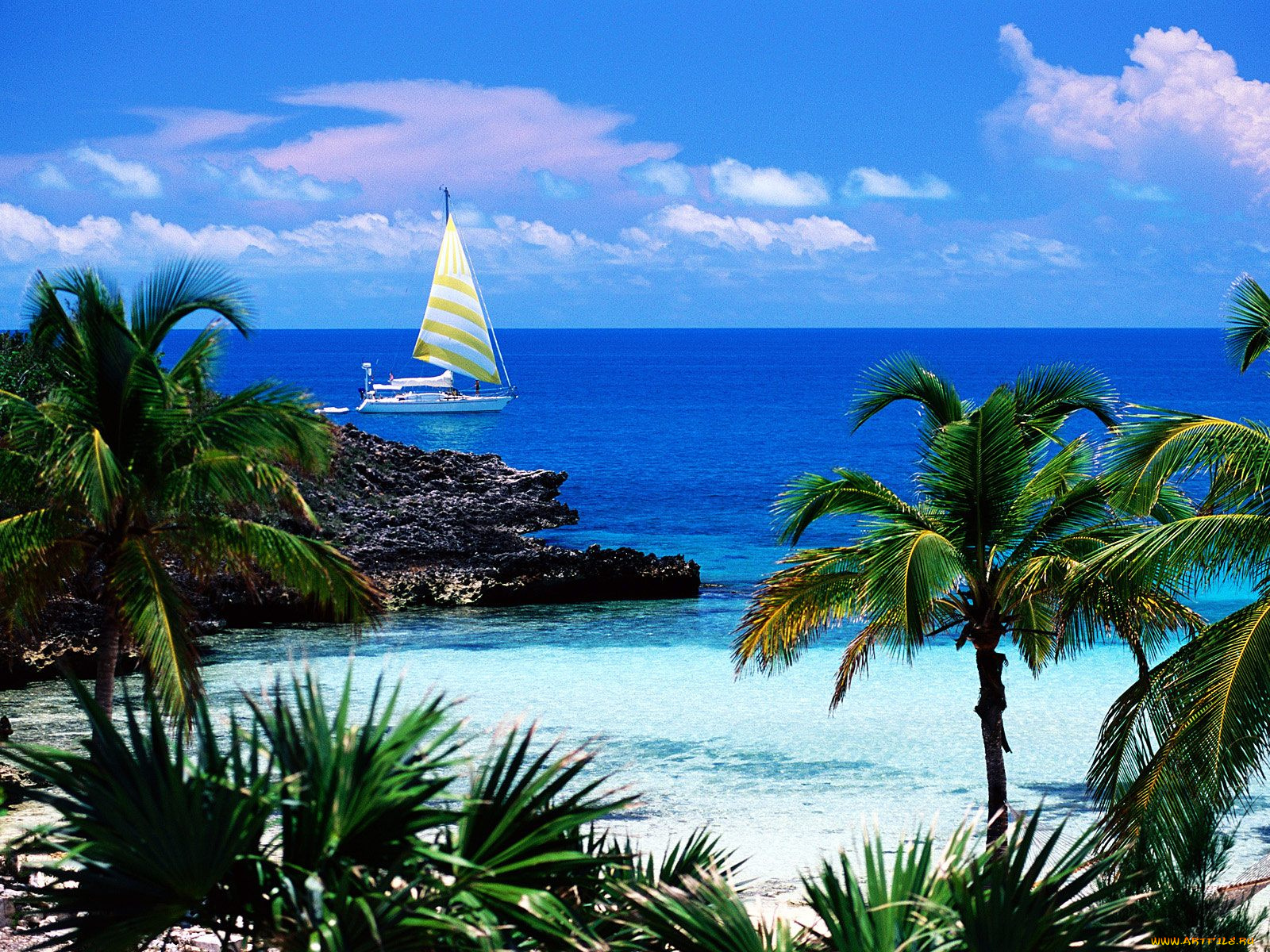 eleuthera, point, harbour, island, bahamas, природа, тропики, океан, пальмы, остров, пляж, багамы