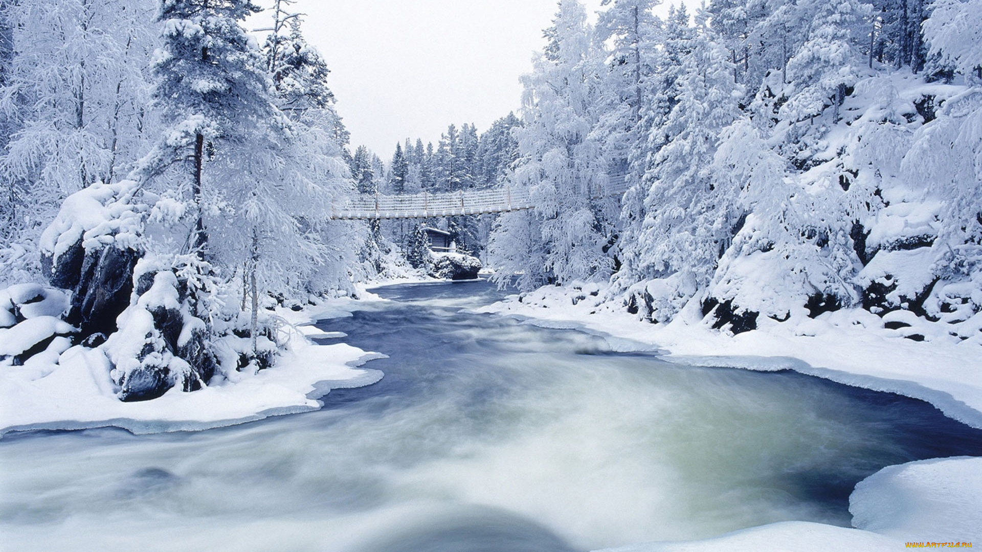 frozen, river, and, trees, природа, зима, снег, лед, река