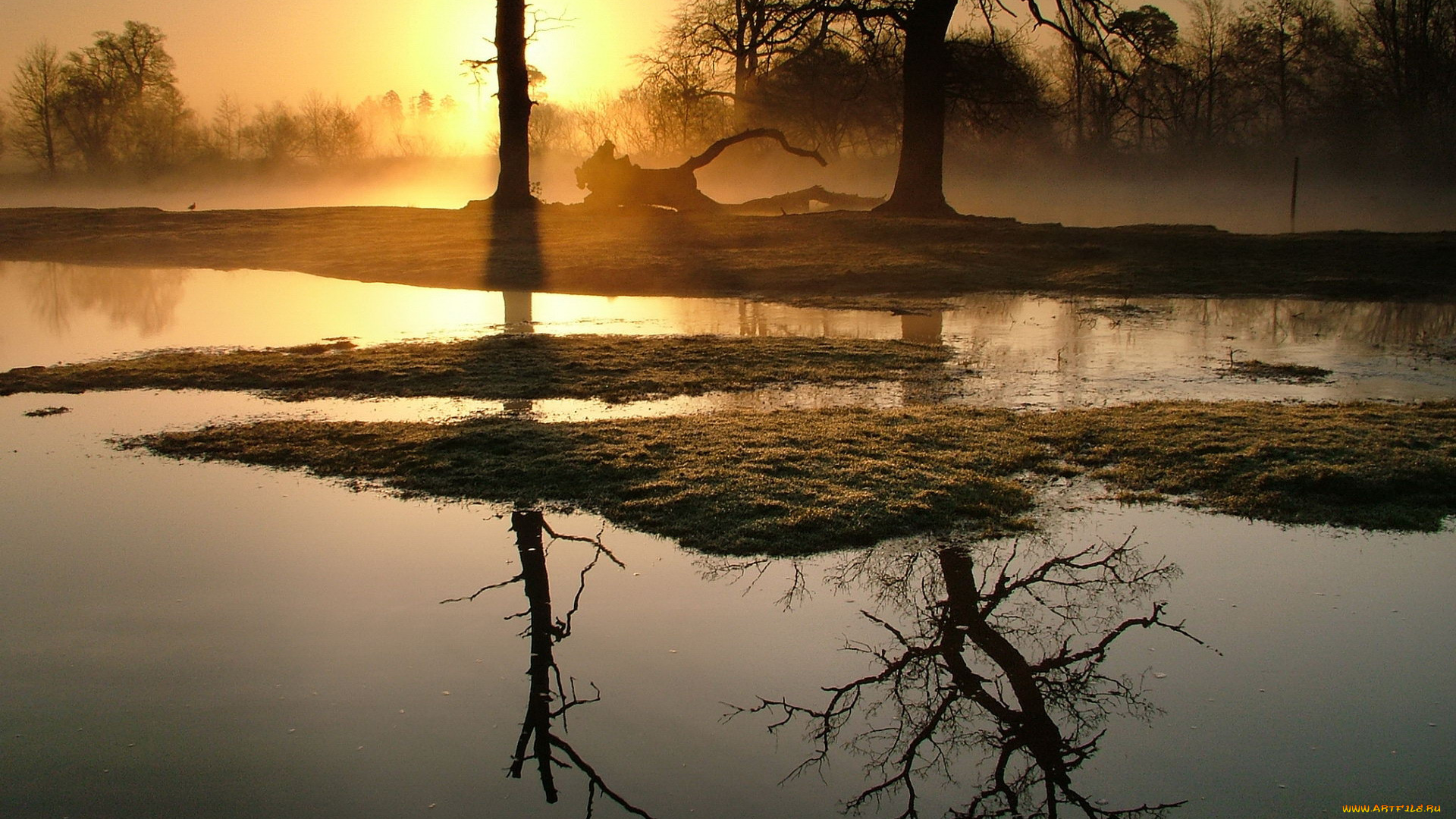 reflection, of, trees, in, lake, природа, реки, озера, вечер, озеро, деревья
