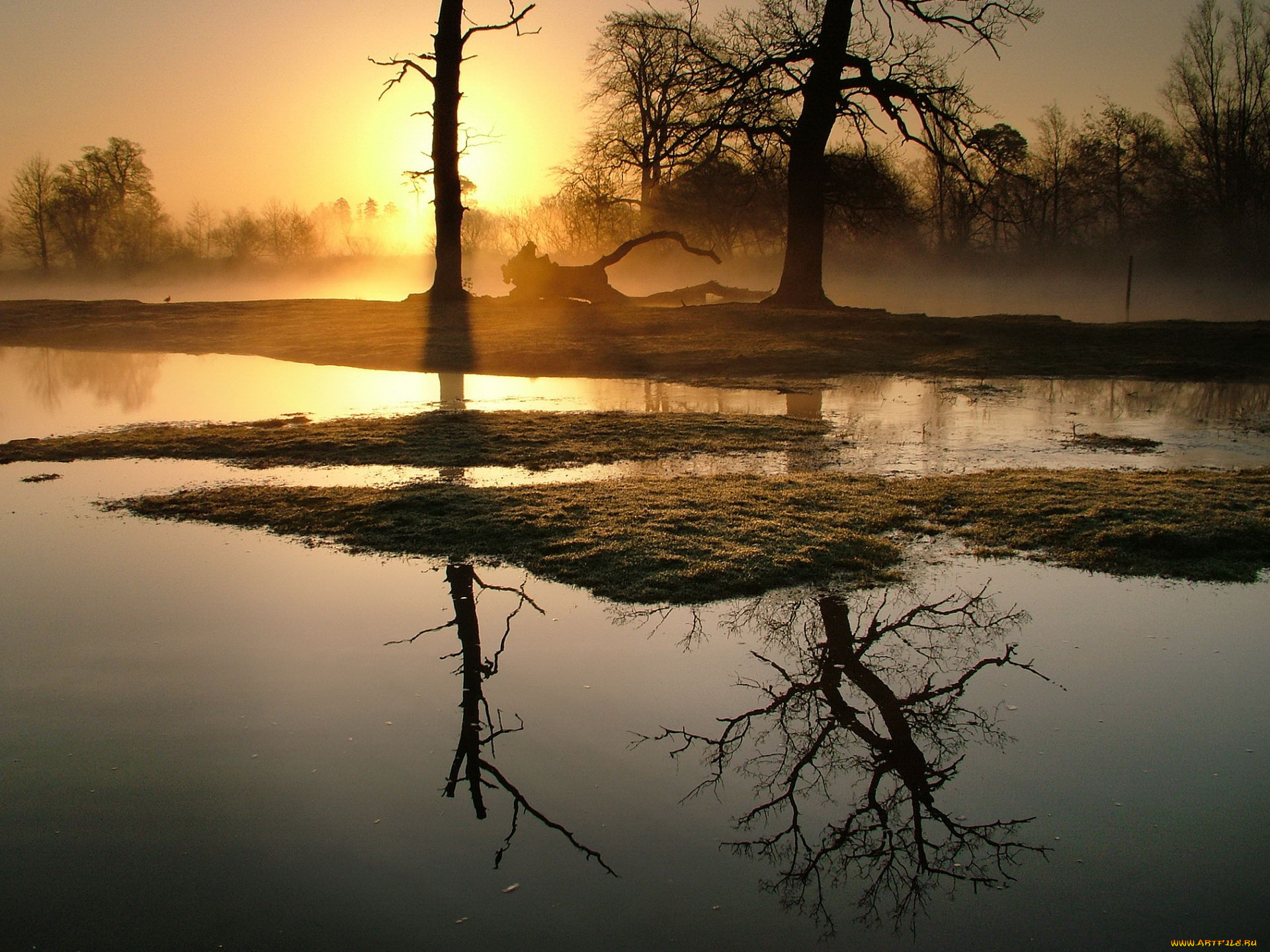 reflection, of, trees, in, lake, природа, реки, озера, вечер, озеро, деревья