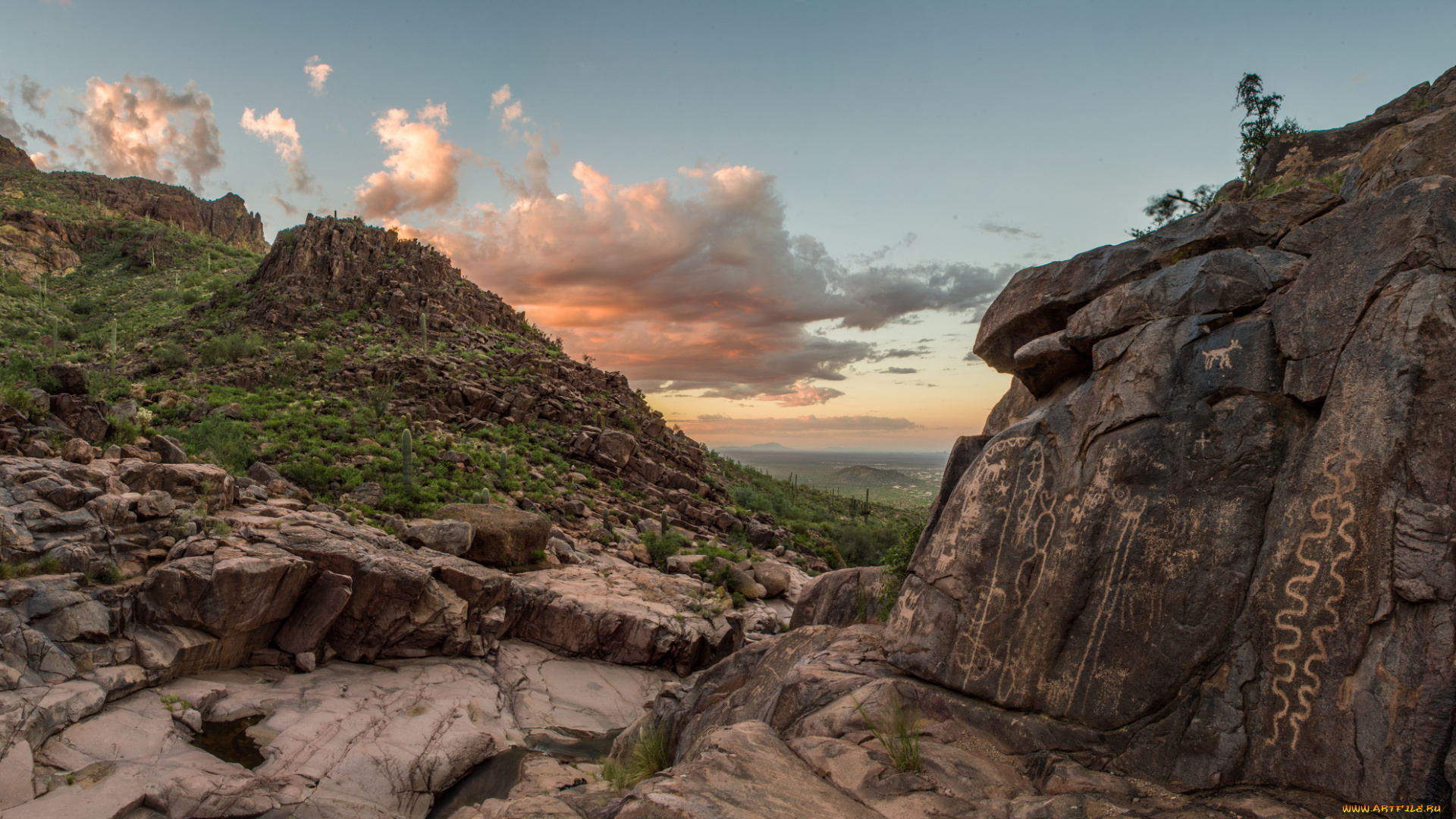 gold, canyon, arizona, природа, горы, золотой, каньон, аризона, петроглифы, наскальные, рисунки