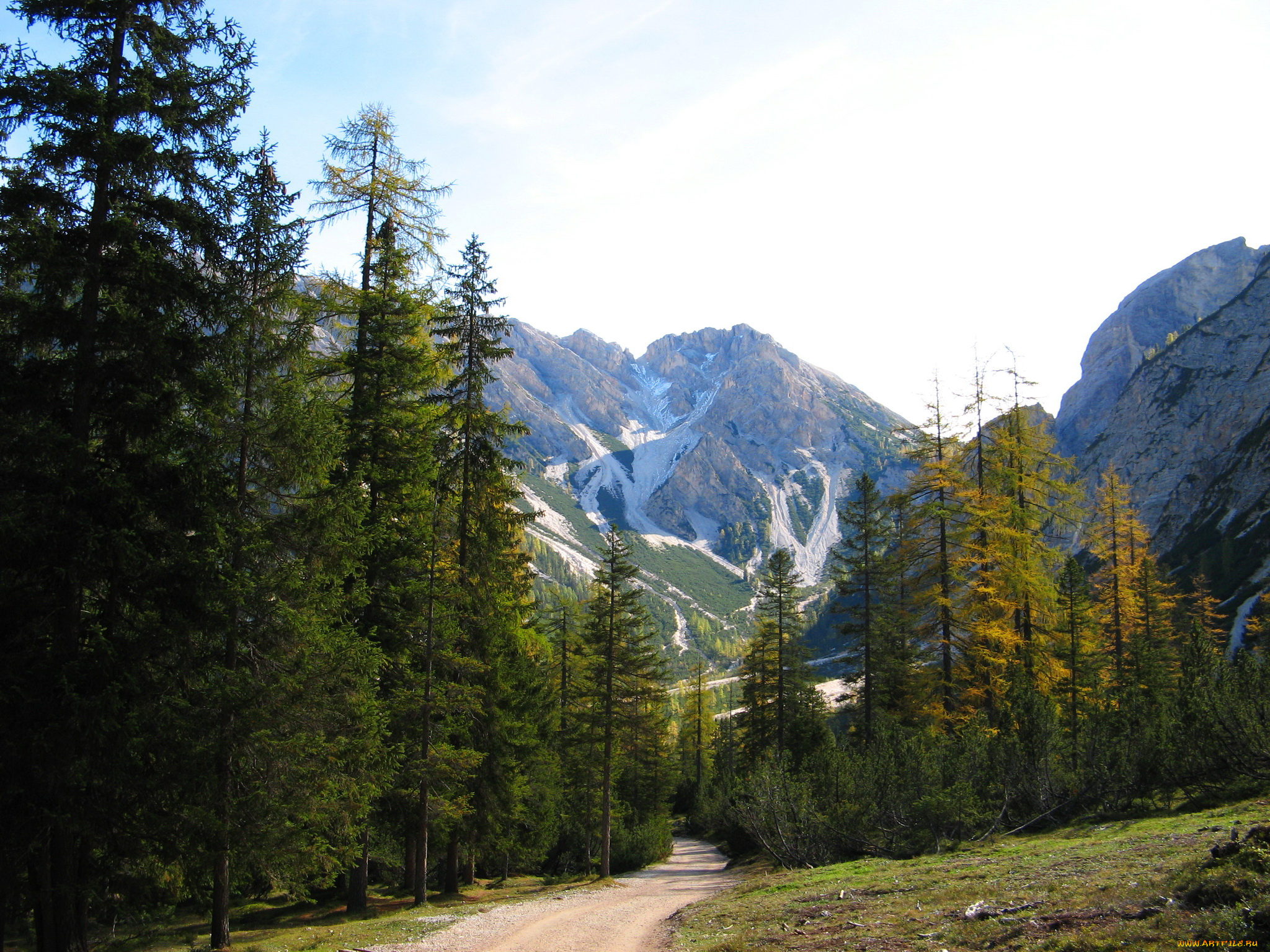 south, tyrol, italy, природа, горы, лес