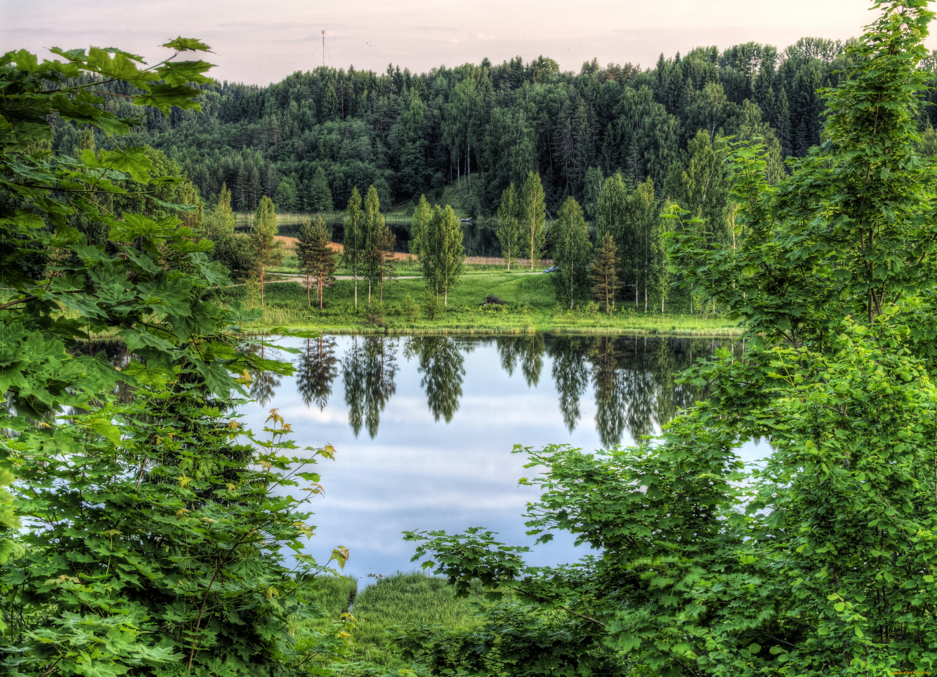 rouger, estonia, природа, реки, озера, озеро, трава, деревья