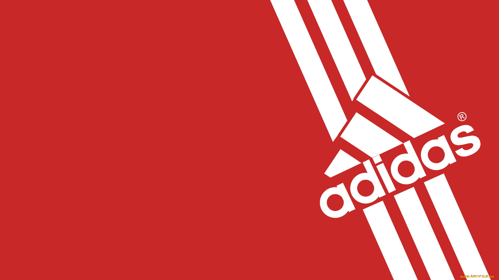 бренды, adidas, красный