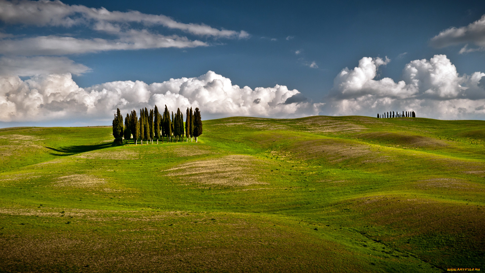 природа, деревья, луга