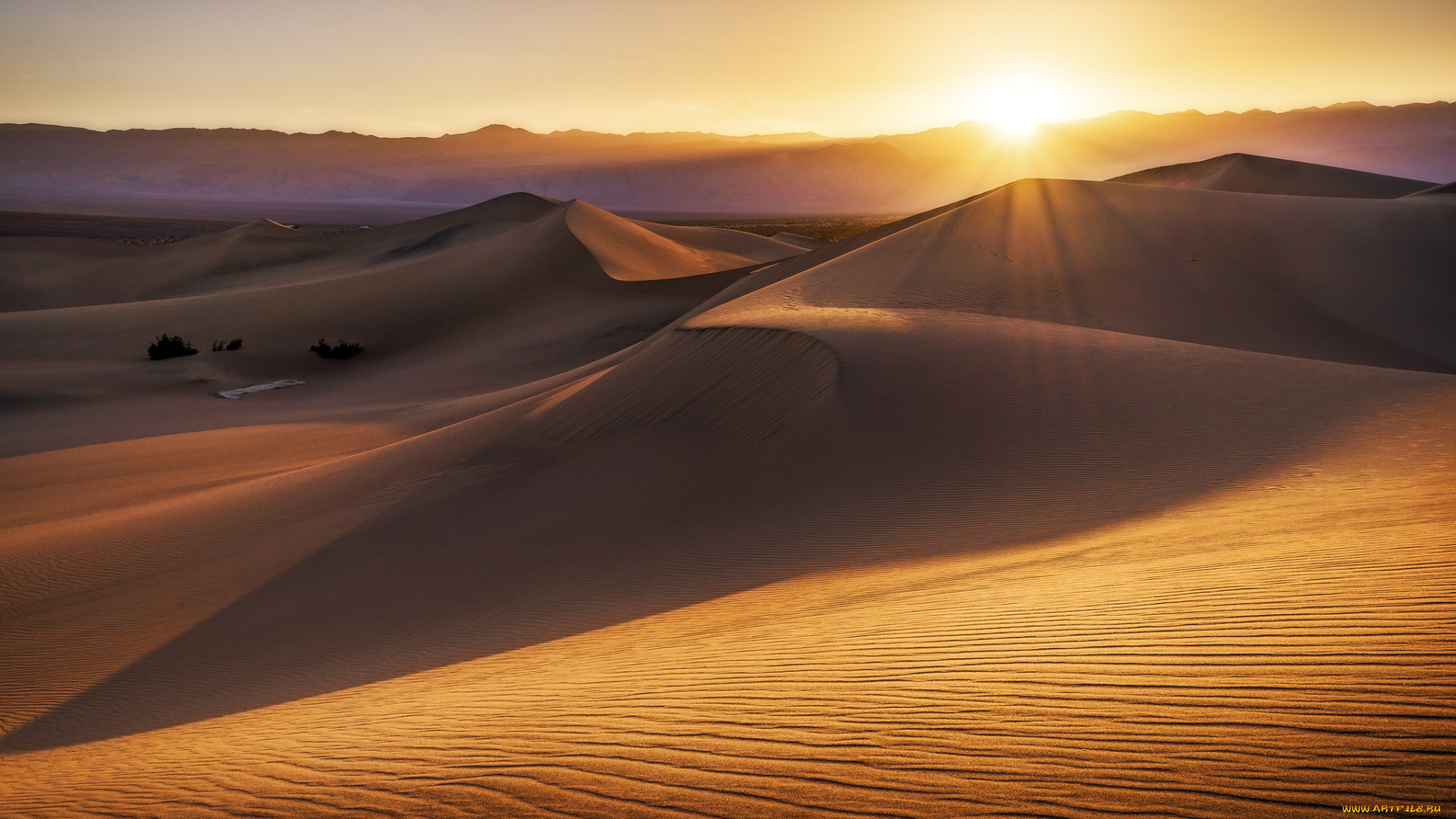 природа, пустыни, закат, песок, пустыня