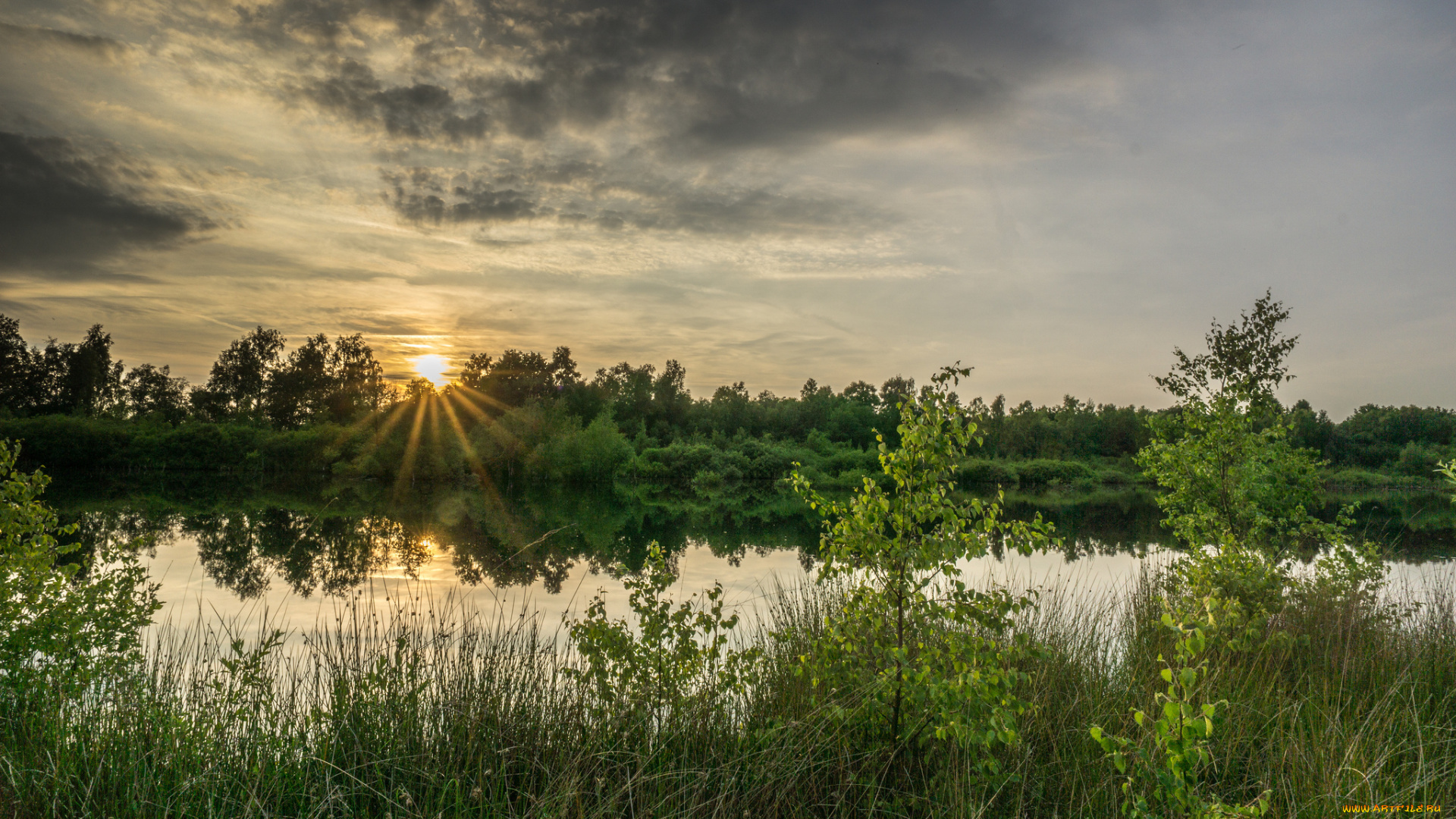 природа, реки, озера, река, лес