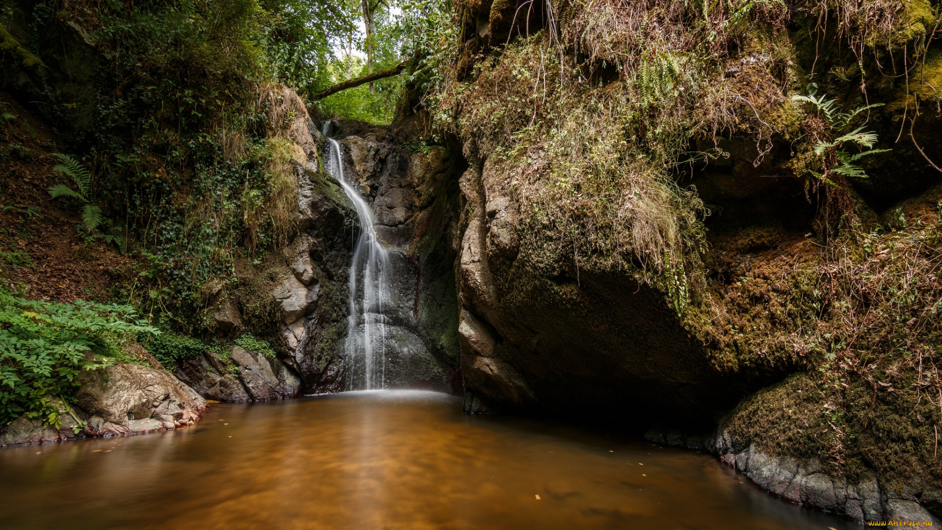 природа, водопады, лес, река, водопад