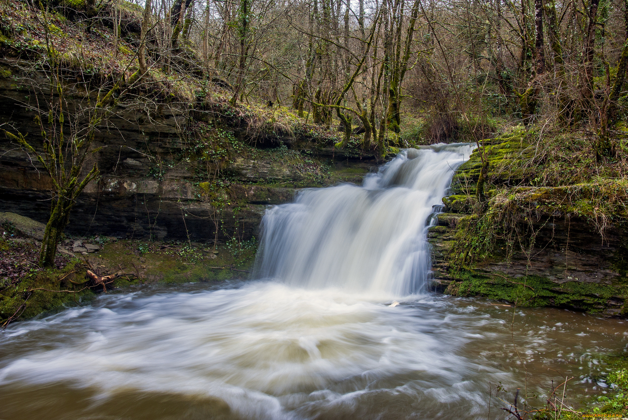 природа, водопады, лес, река, водопад