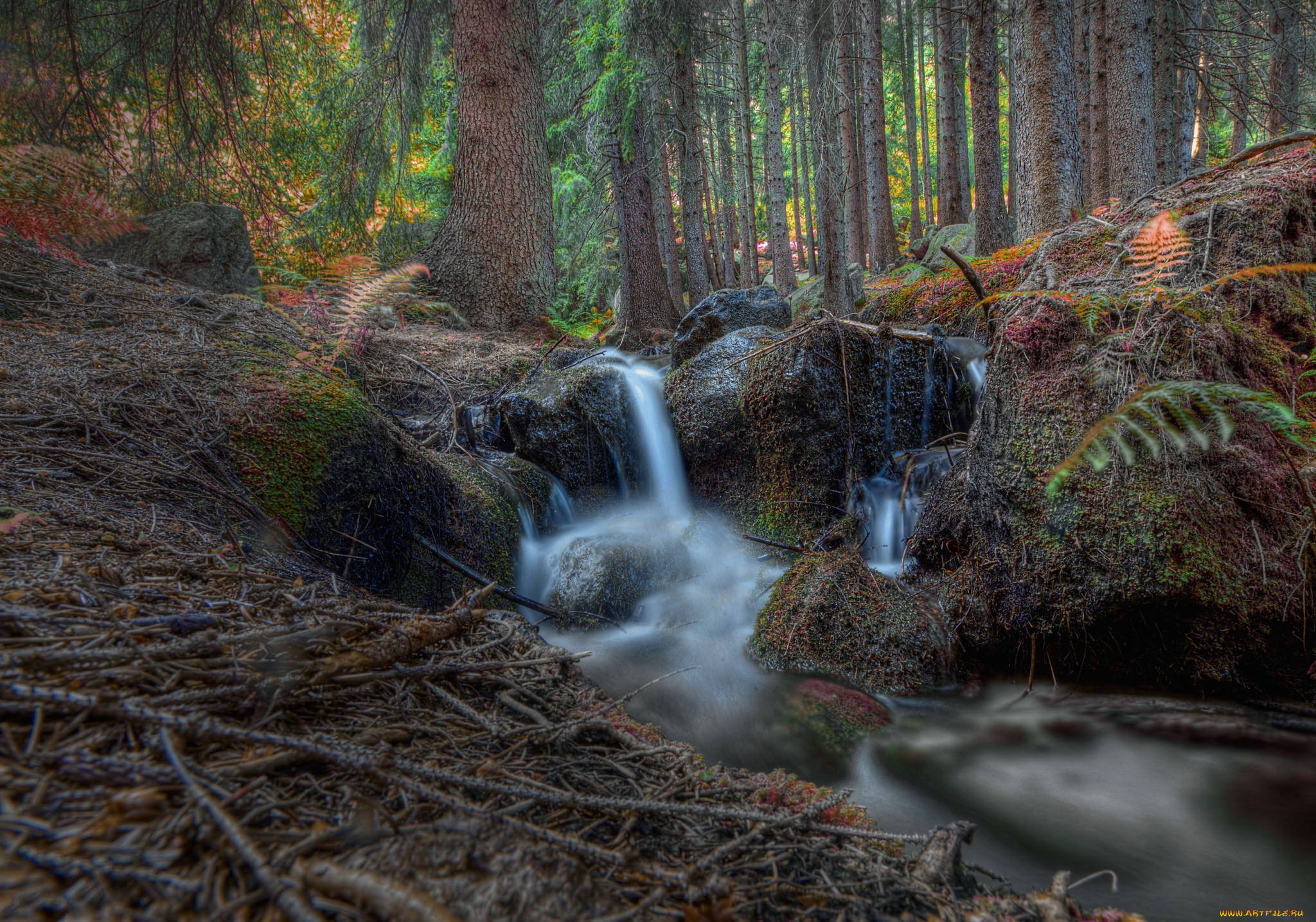 природа, водопады, ручей, лес, водопад