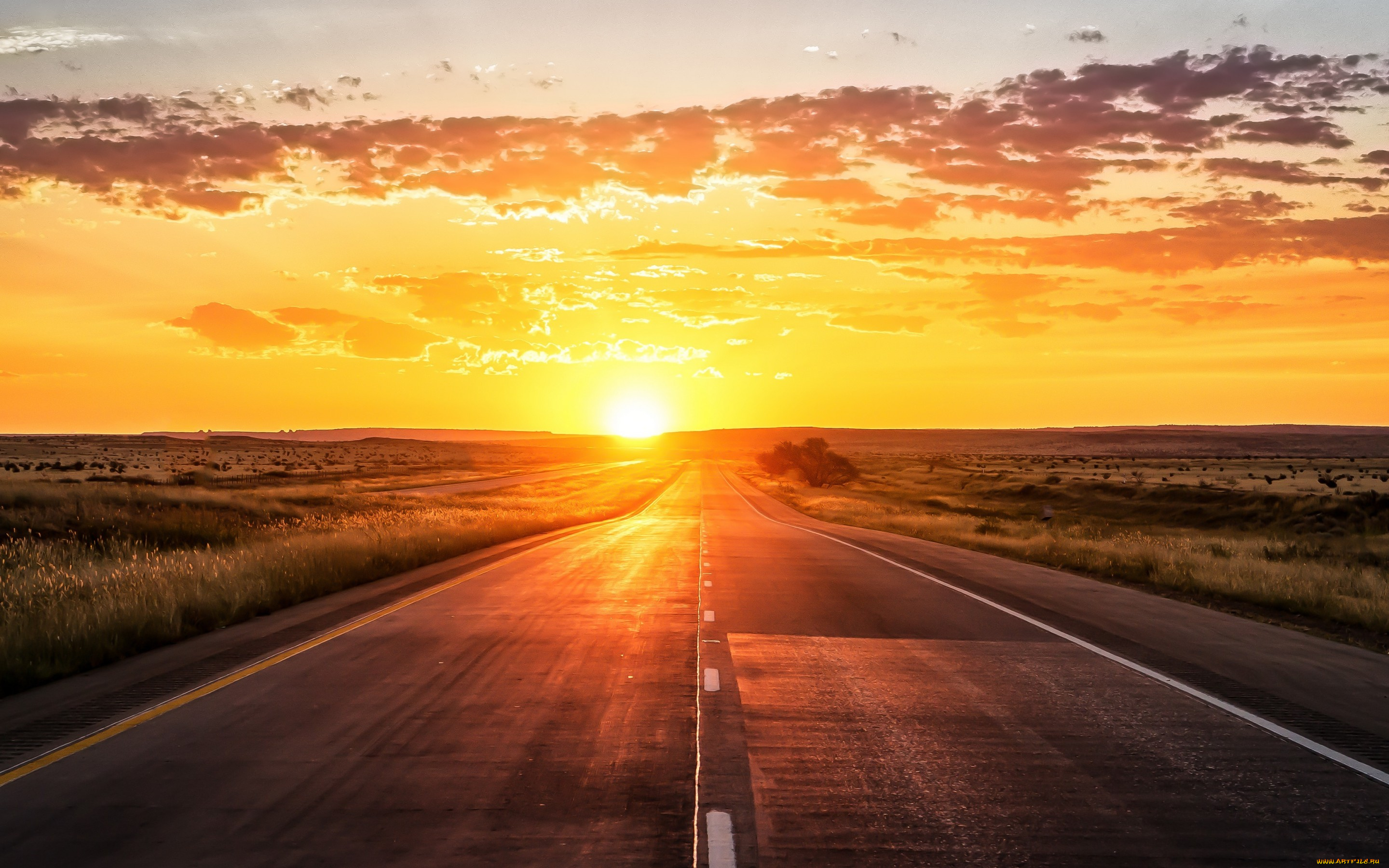 природа, восходы, закаты, дорога, закат, sun, sunset, road, route