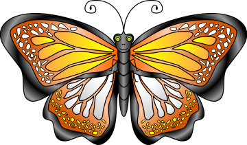 Картинка векторная+графика животные+ animals бабочка фон