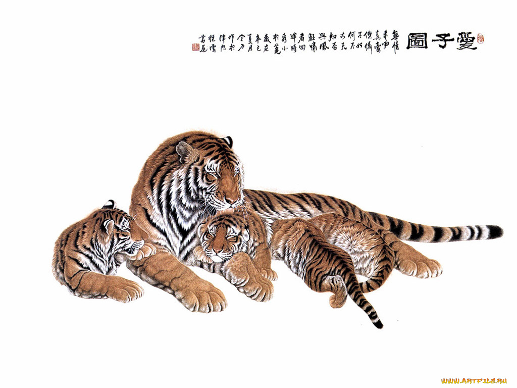 рисованные, животные, тигры