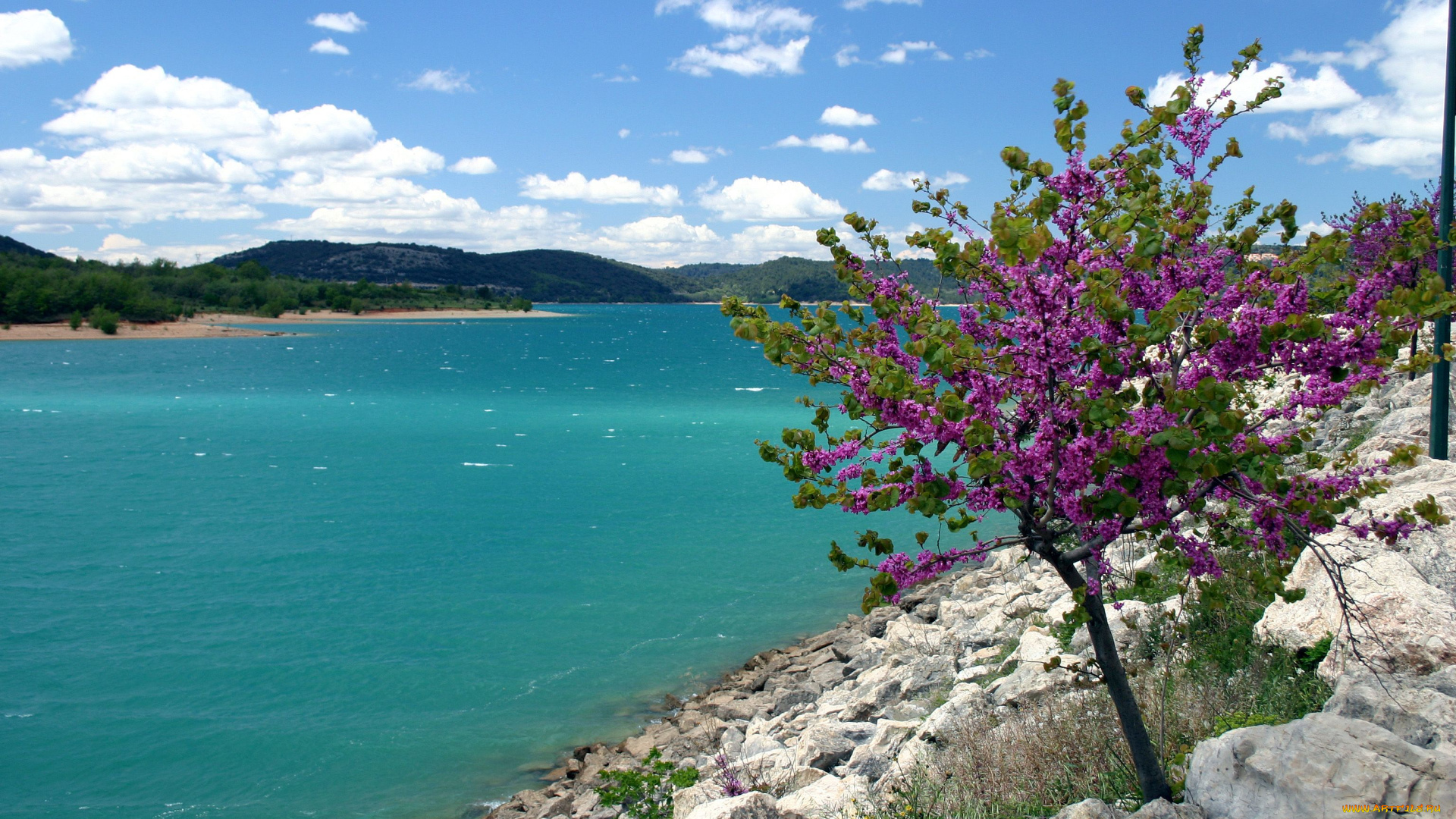 bauduen, lac, de, sainte, provence, france, природа, реки, озера, франция, прованс