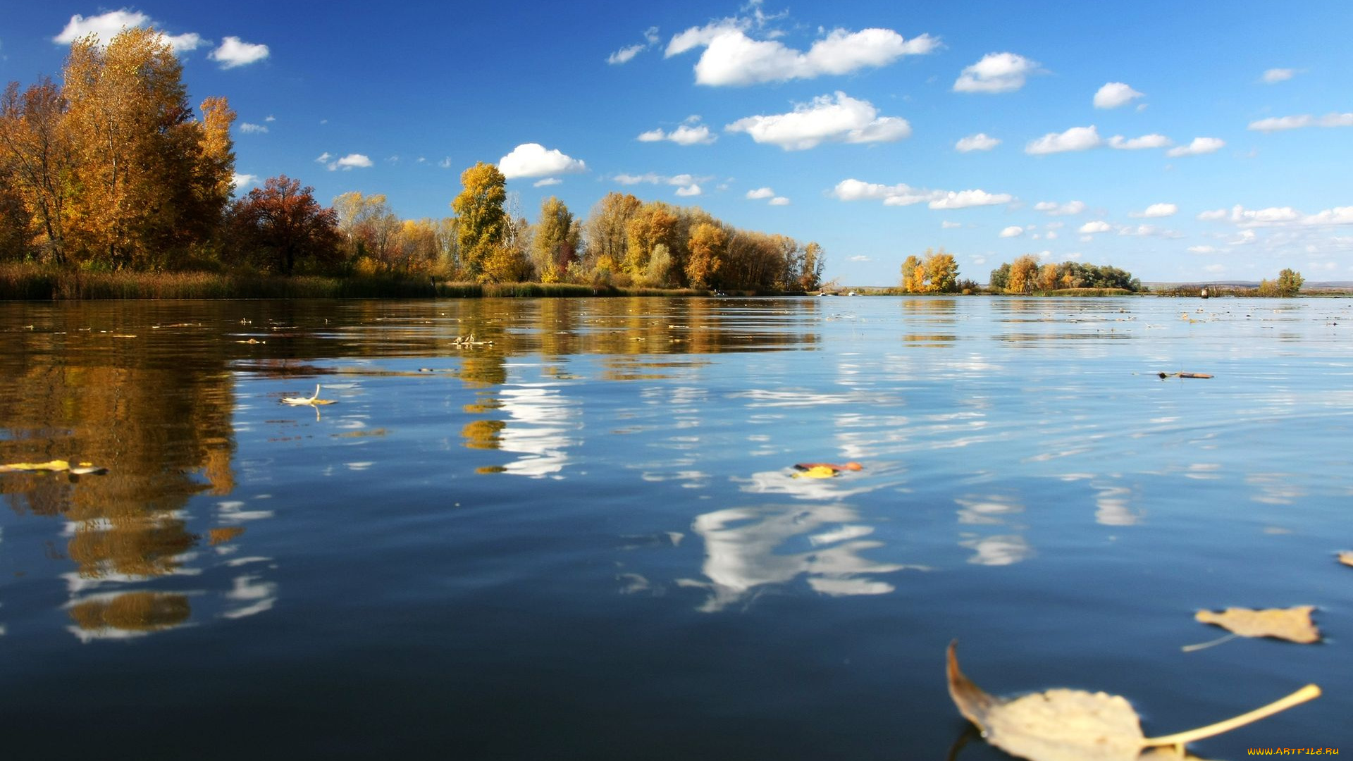 природа, реки, озера, река, осень, листья, деревья