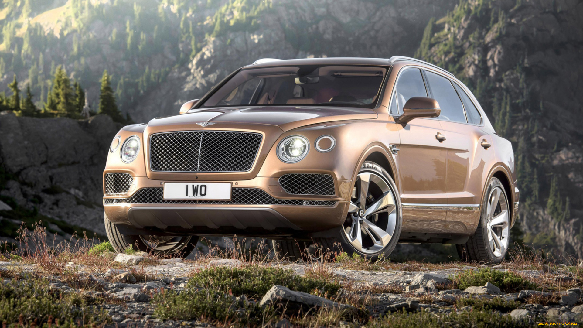 bentley, bentayga, concept, 2016, автомобили, bentley, 2016, concept, bentayga