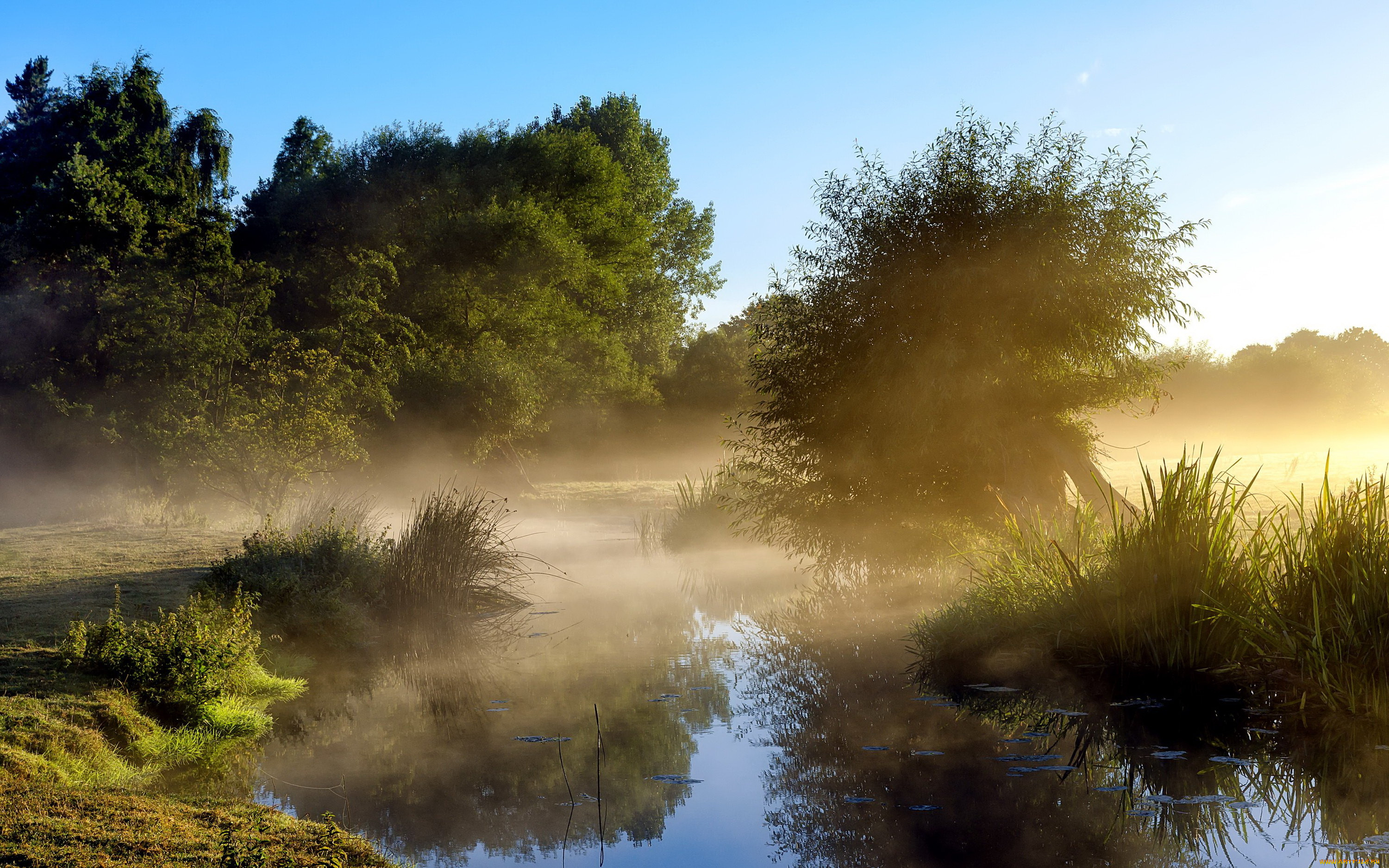 природа, реки, озера, утро, туман