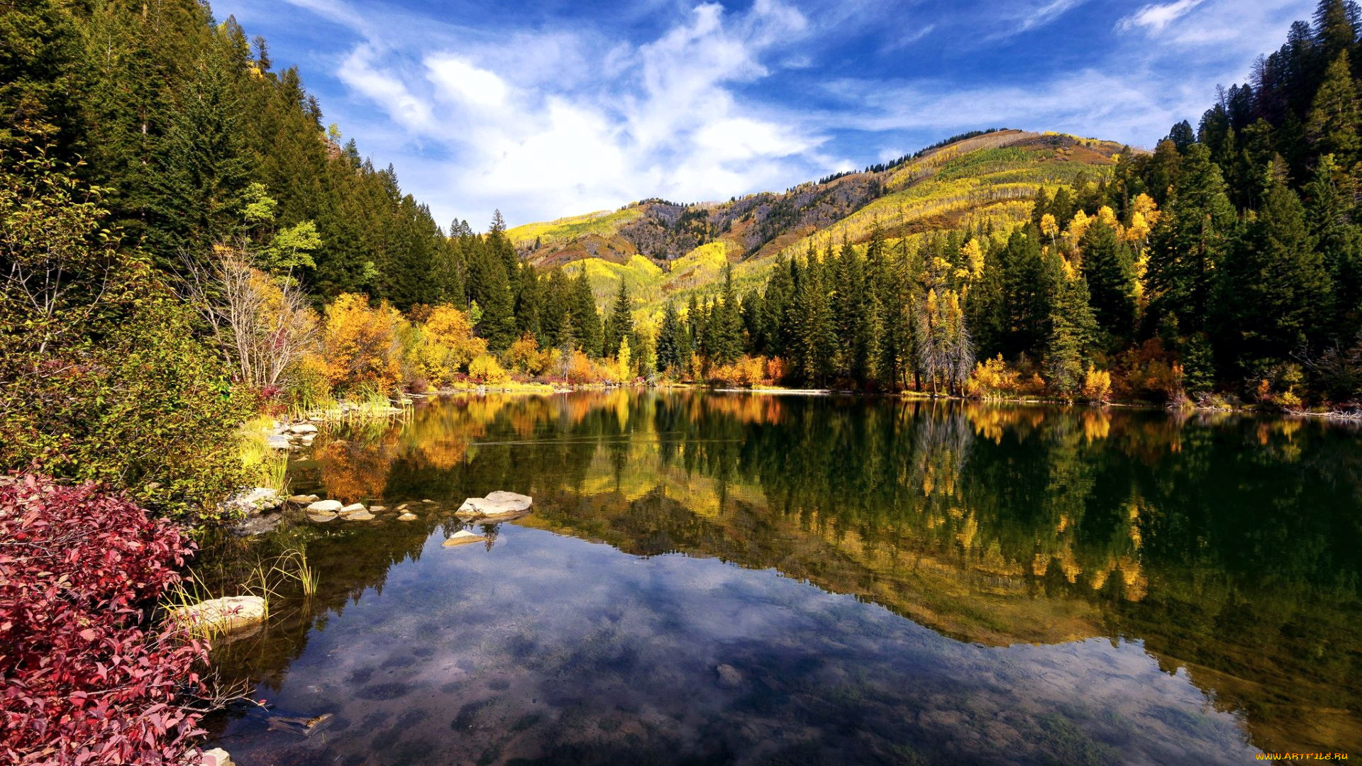 lizard, lake, colorado, природа, реки, озера, lizard, lake