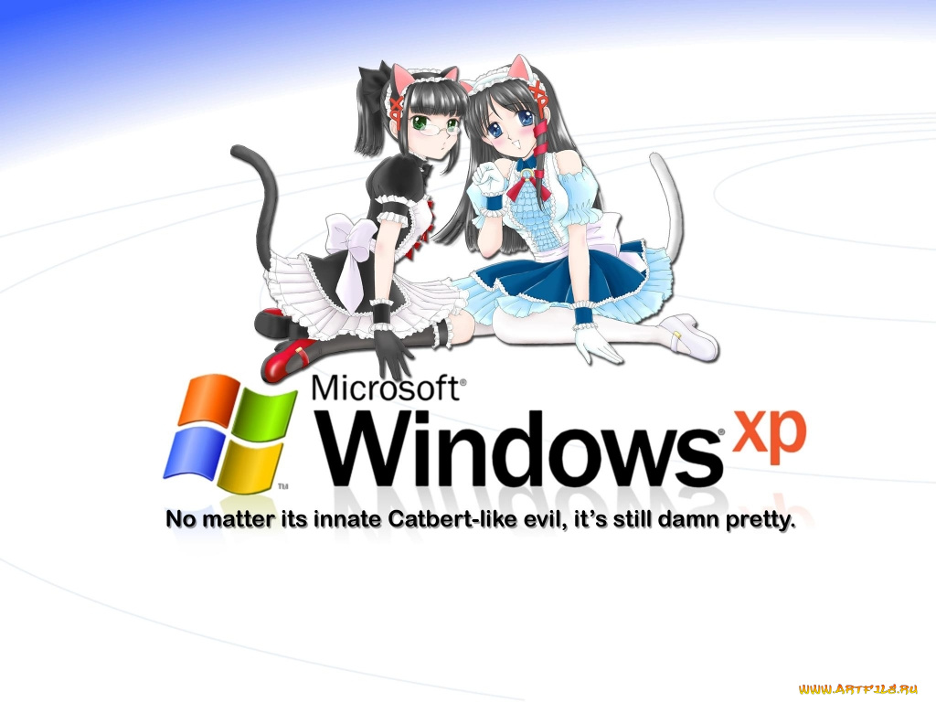 компьютеры, windows, xp