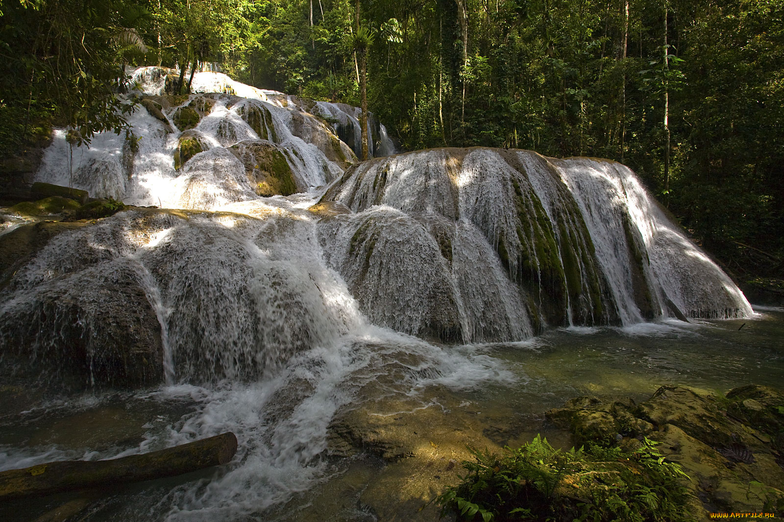 индонезия, водопады, салопа, природа, лес, камни