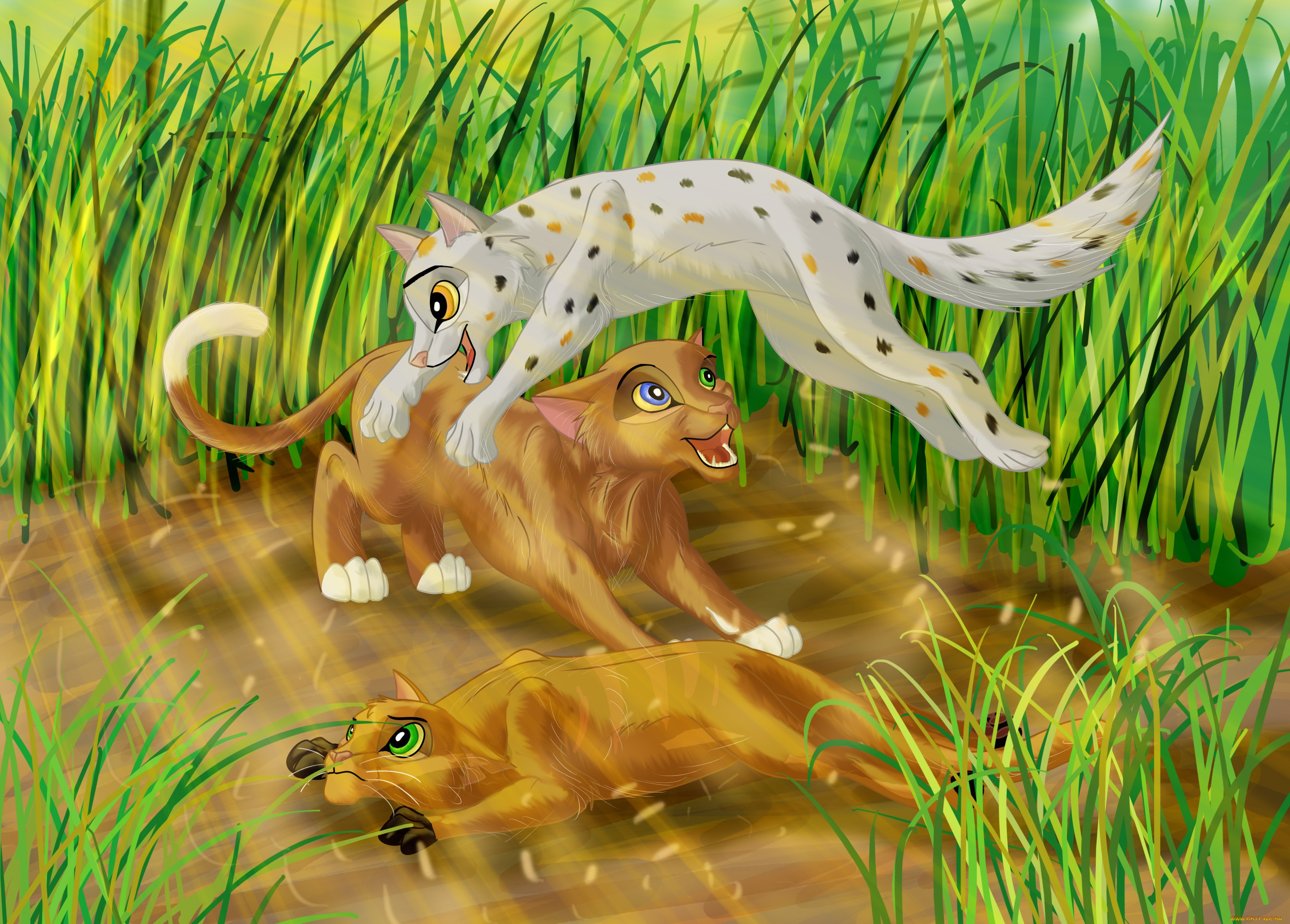 рисованное, животные, львы, семья, трава, игра, кошка