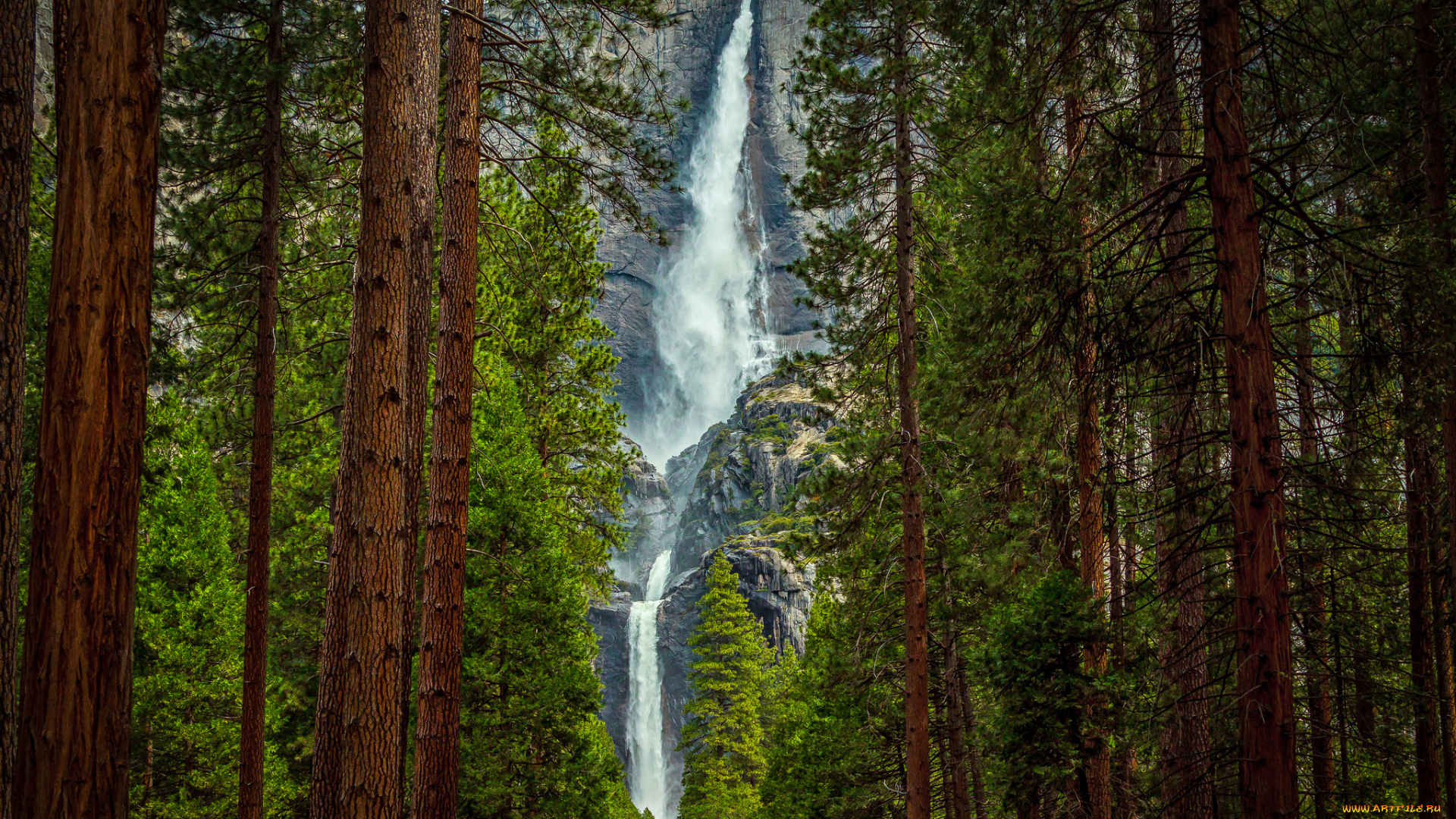 природа, водопады, деревья, скала, водопад, лес, горы