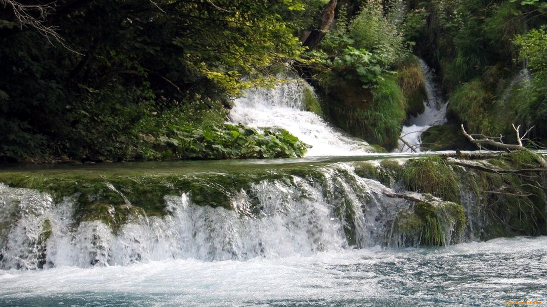 природа, водопады, потоки, вода