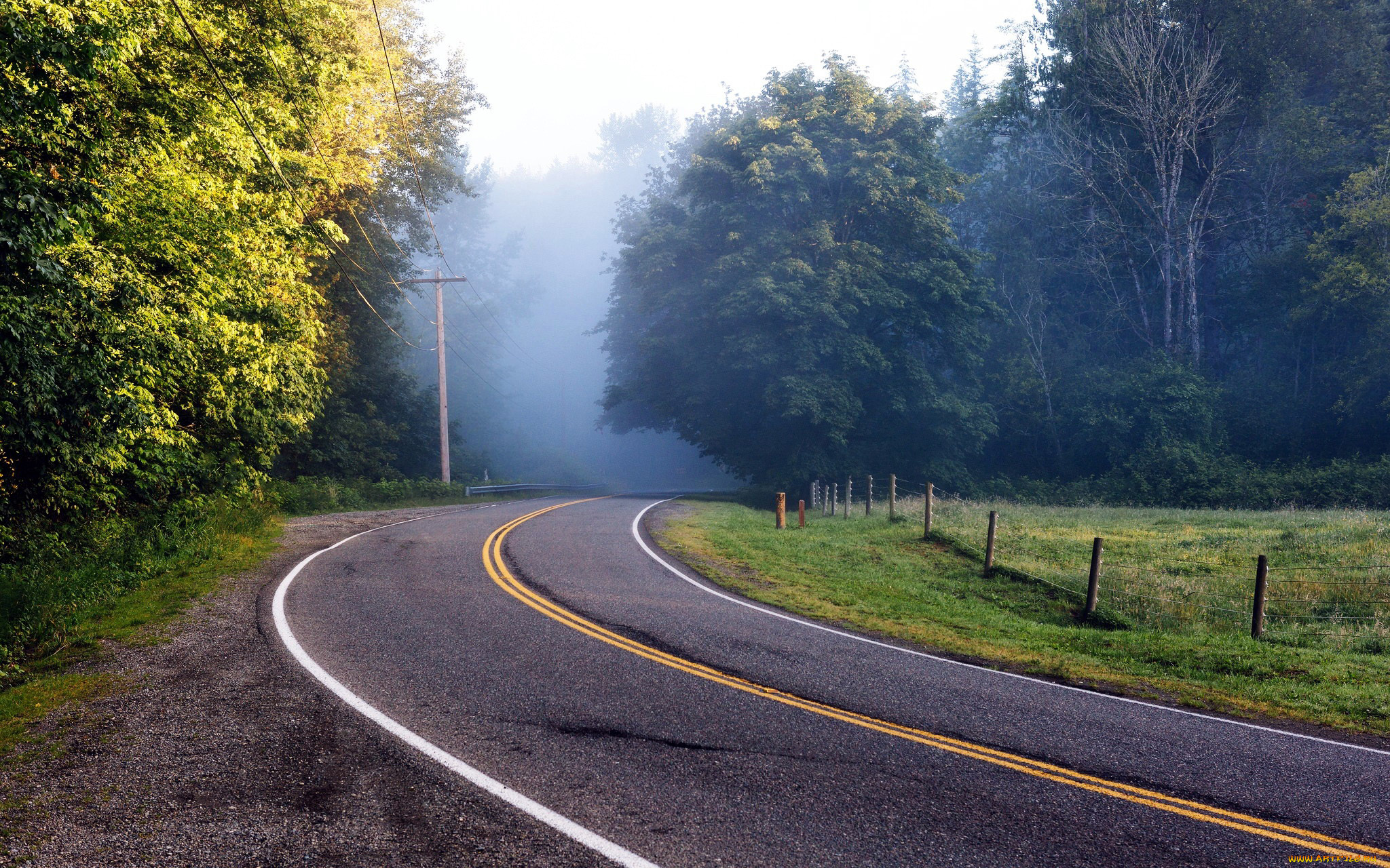 природа, дороги, туман, поворот, шоссе