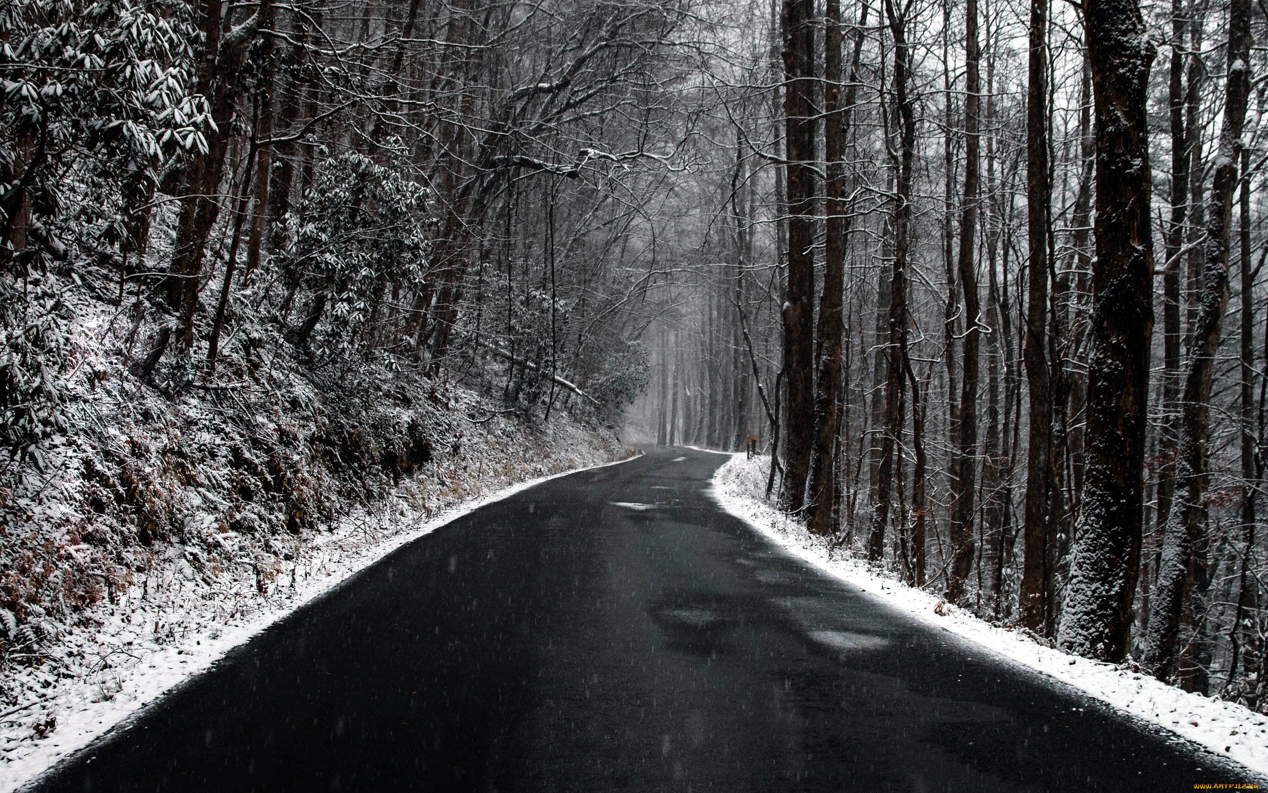 природа, дороги, шоссе, зимнее