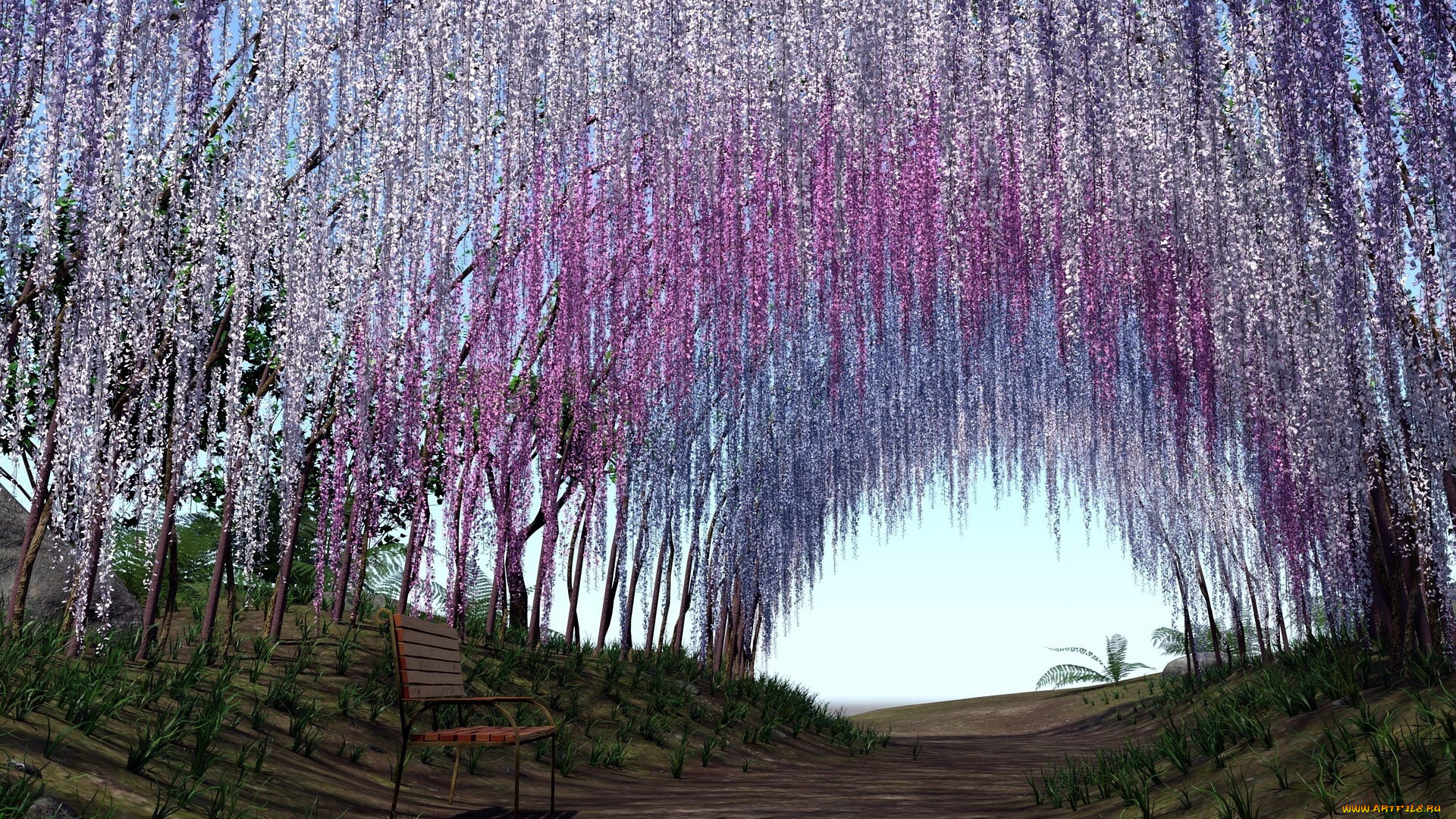 Парк цветов Асикага зимой