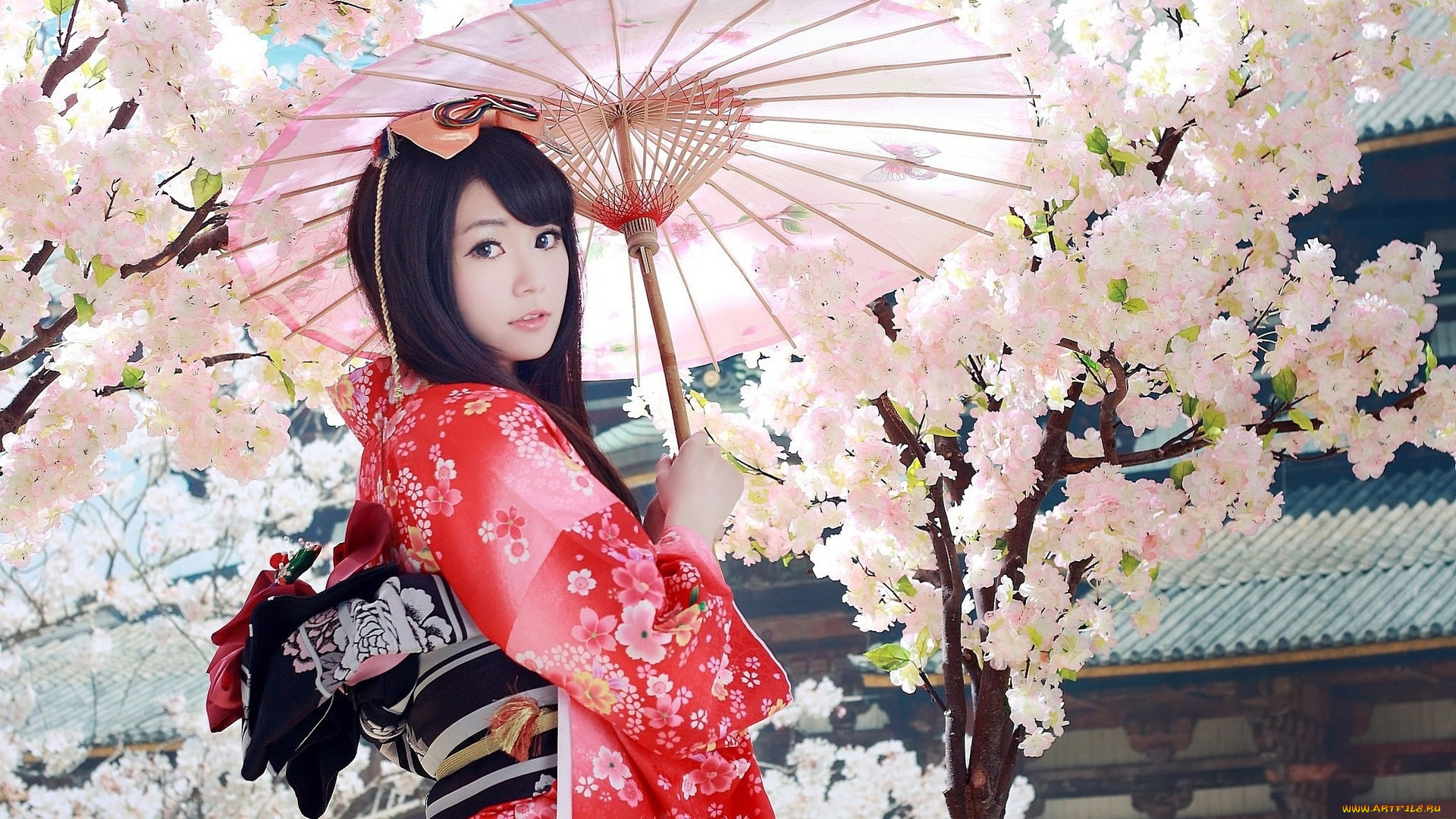 девушки, -, азиатки, сакура, зонтик, кимоно