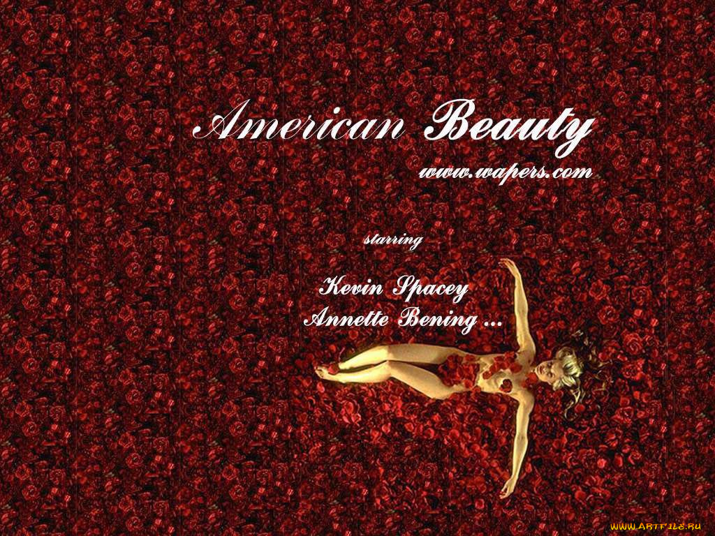 кино, фильмы, american, beauty