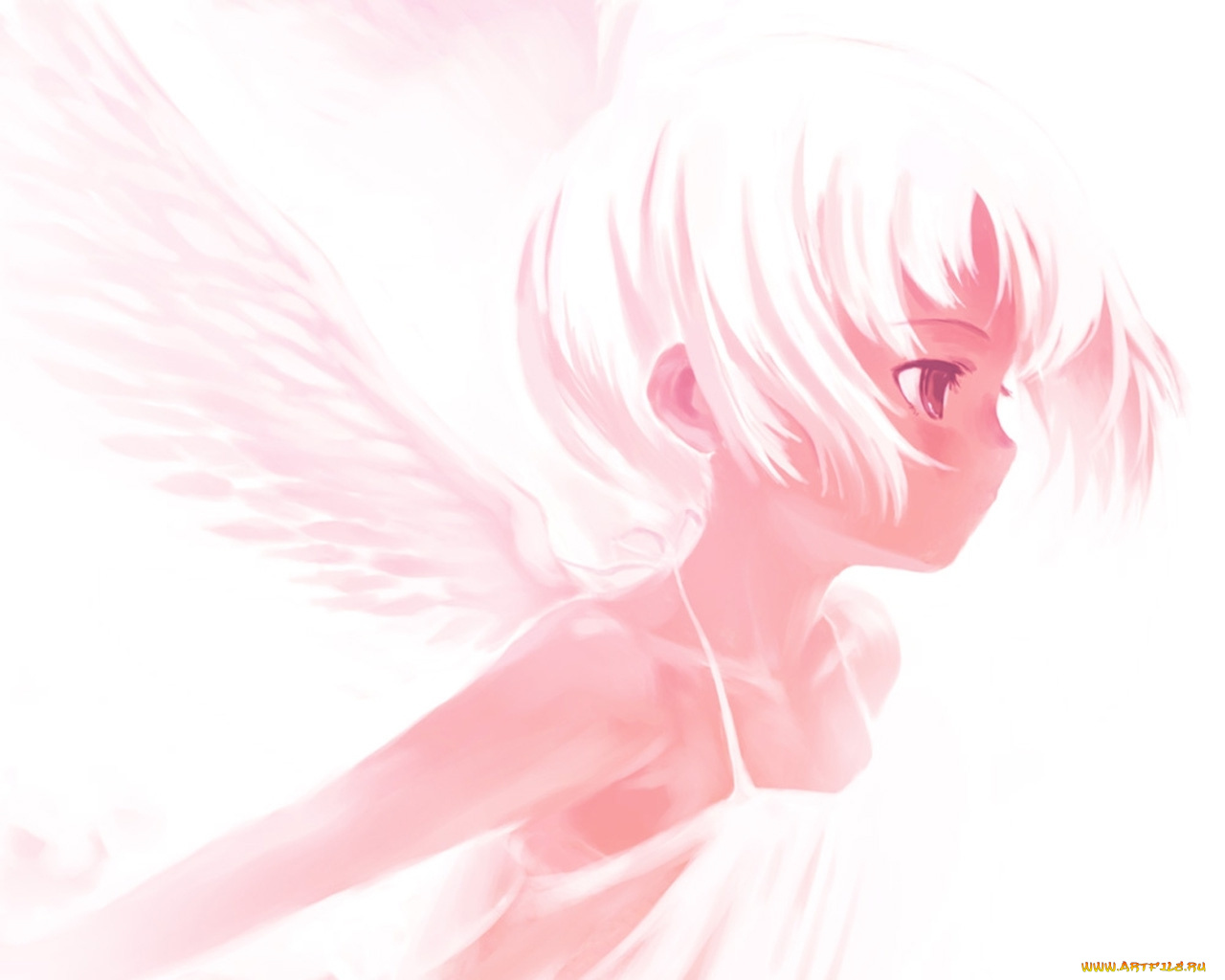 аниме, angels, demons