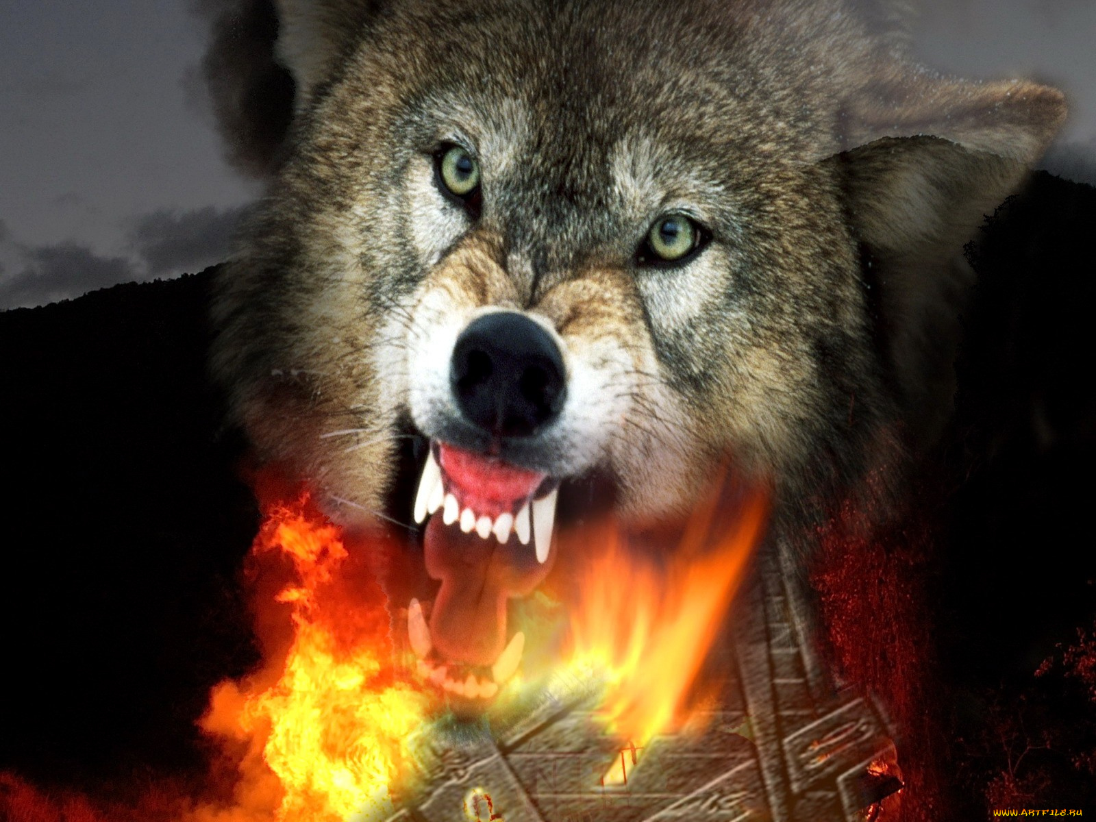 timberwolf, кино, фильмы