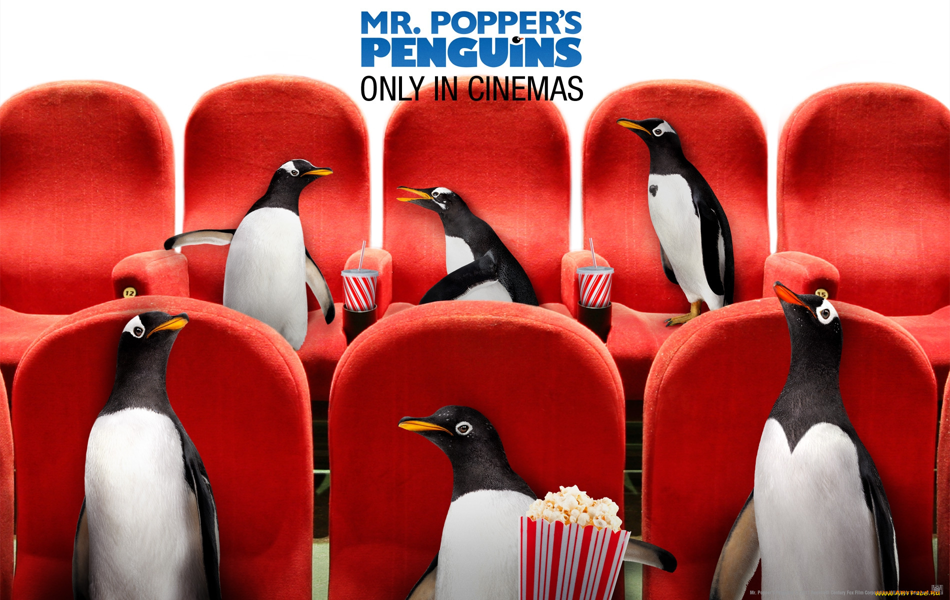 mr, poppers, penguins, кино, фильмы, popper`s, пингвины, мистера, поппера