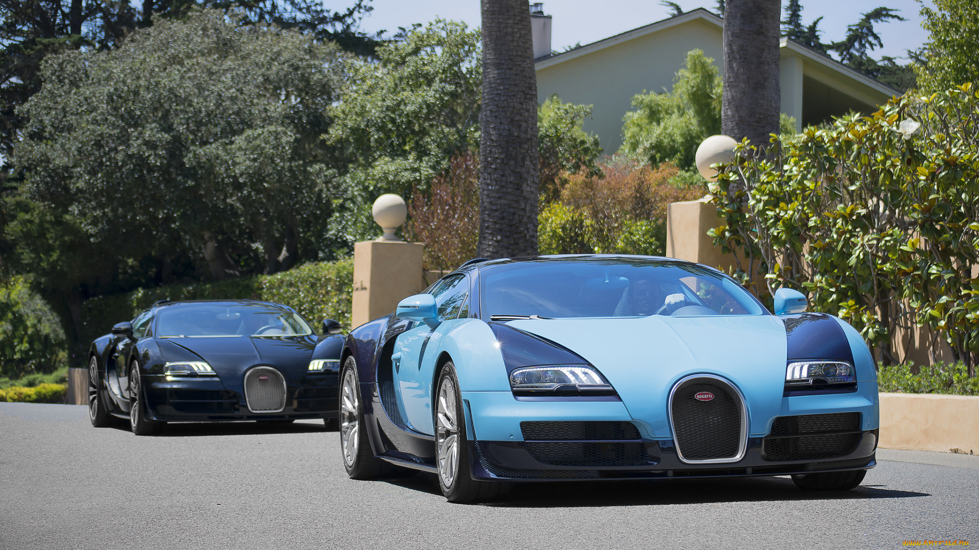 bugatti, veyron, legends, editions, автомобили, bugatti, спорткар