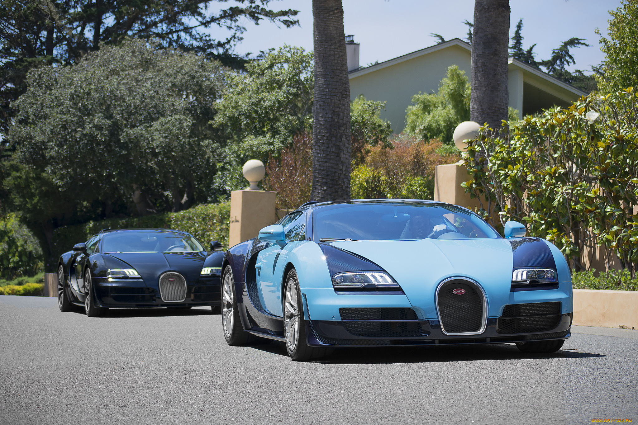 bugatti, veyron, legends, editions, автомобили, bugatti, спорткар