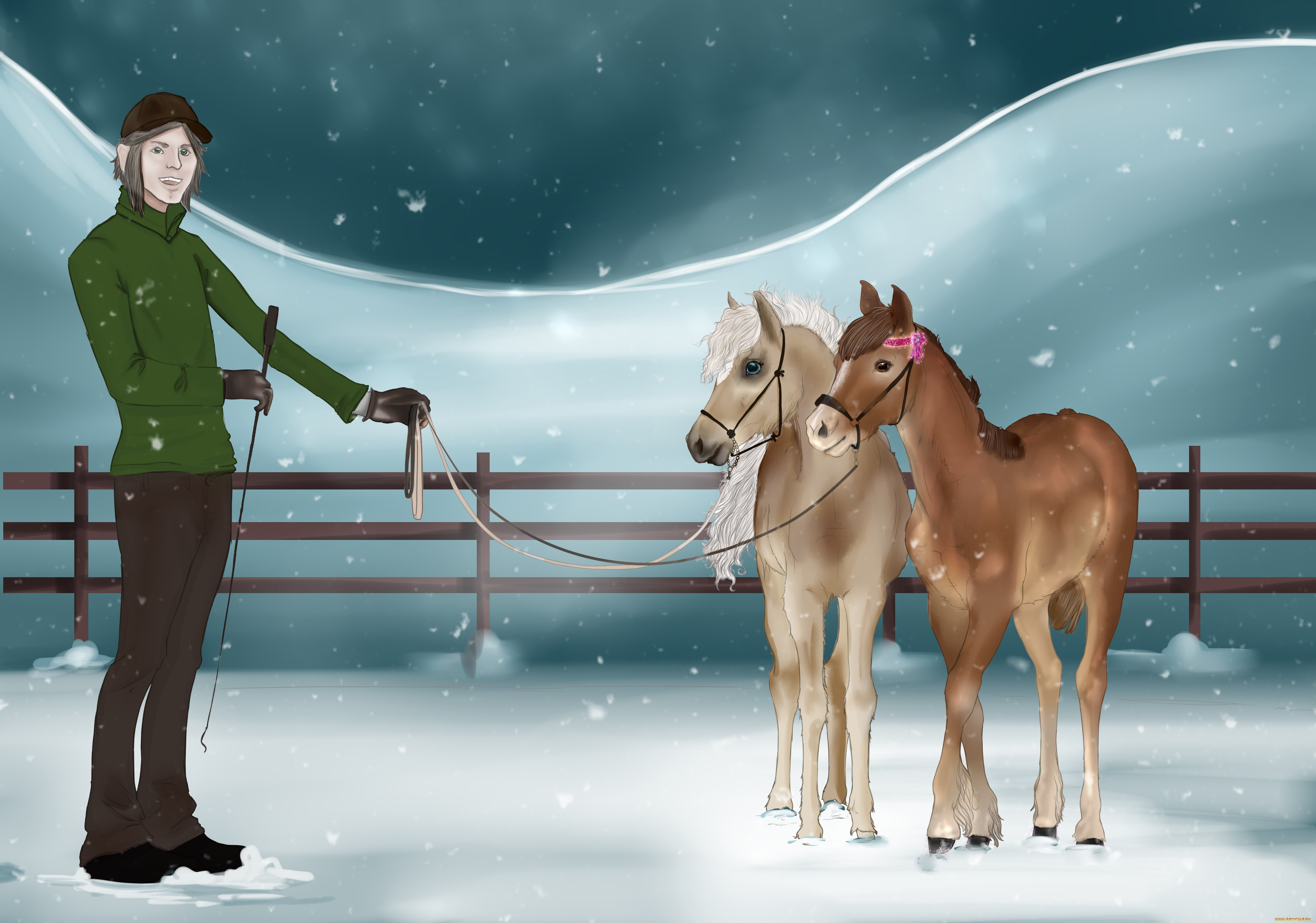 рисованное, животные, , лошади, забор, снег, лошадки, взгляд, мужчина