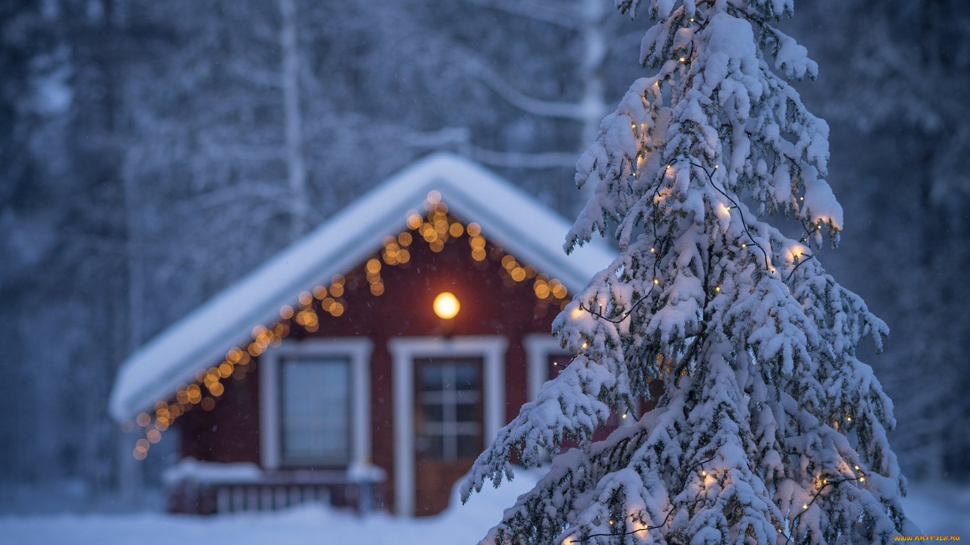 праздничные, Ёлки, finland, гирлянда, lapland, ель, финляндия, зима, дом, лапландия