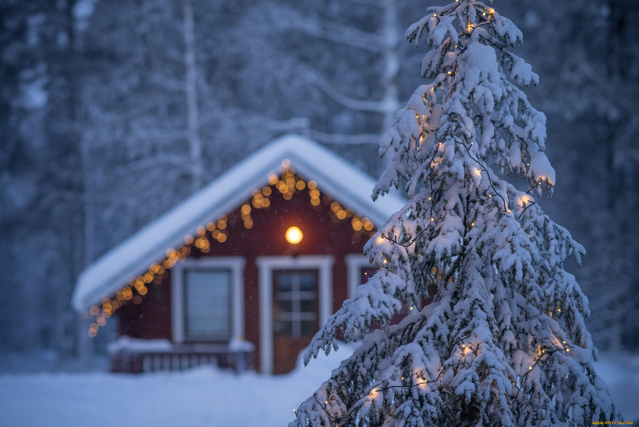 праздничные, Ёлки, finland, гирлянда, lapland, ель, финляндия, зима, дом, лапландия