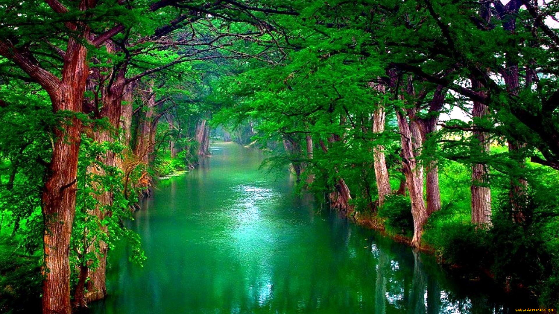 природа, реки, озера, изумрудный, деревья