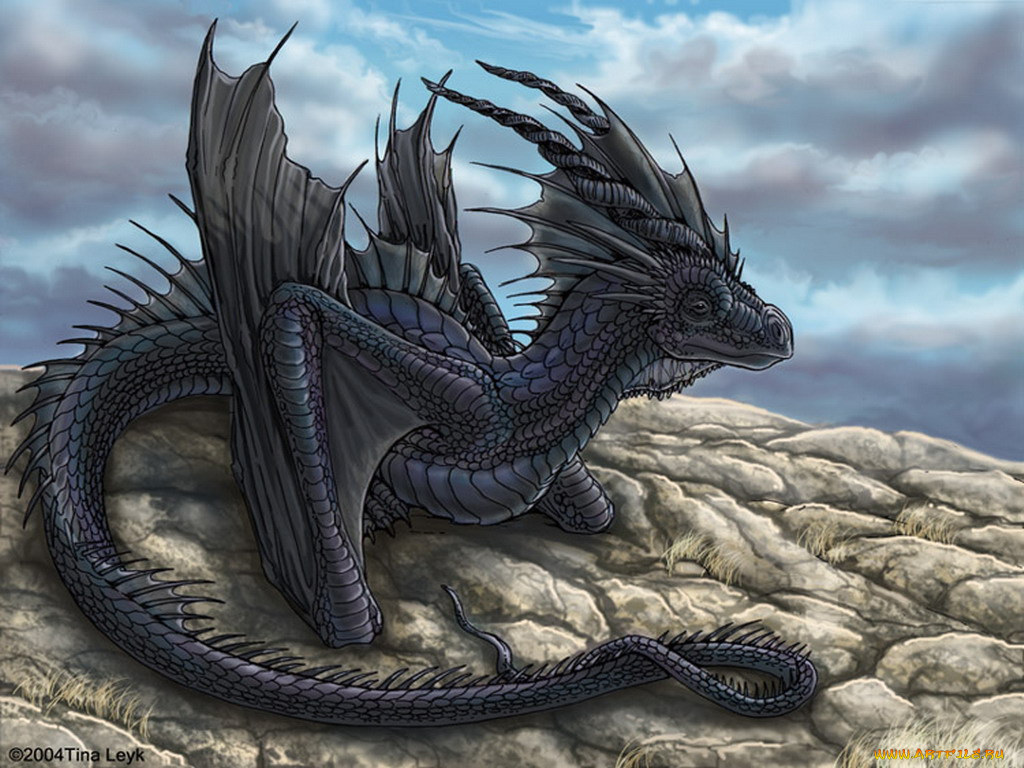 Bi dragon. Гебриданский чёрный дракон. Синтара дракон. Сэйрю Лазурный дракон. Дракон Блэк драгон.