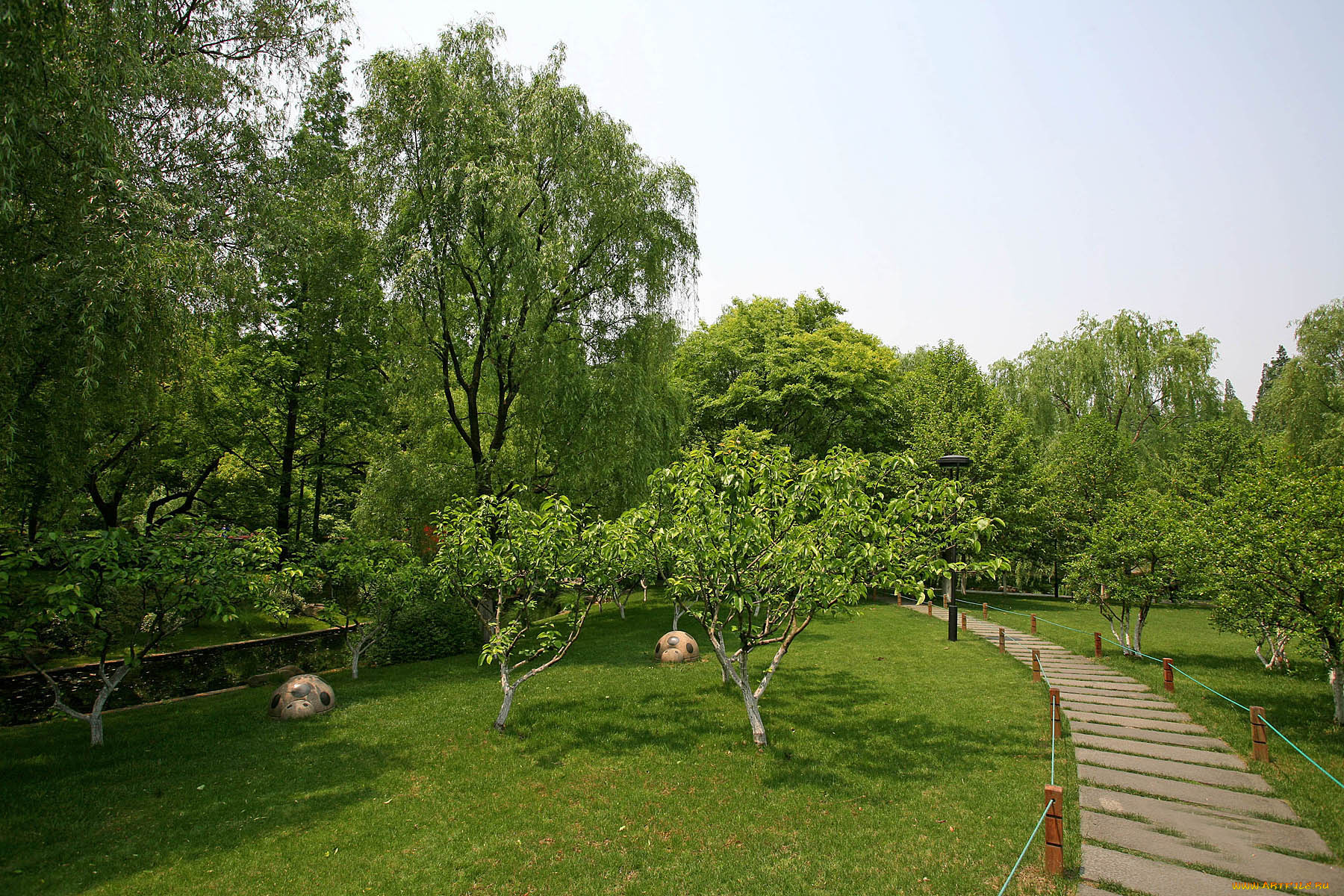 природа, парк, ландшафтный, ханчжоу