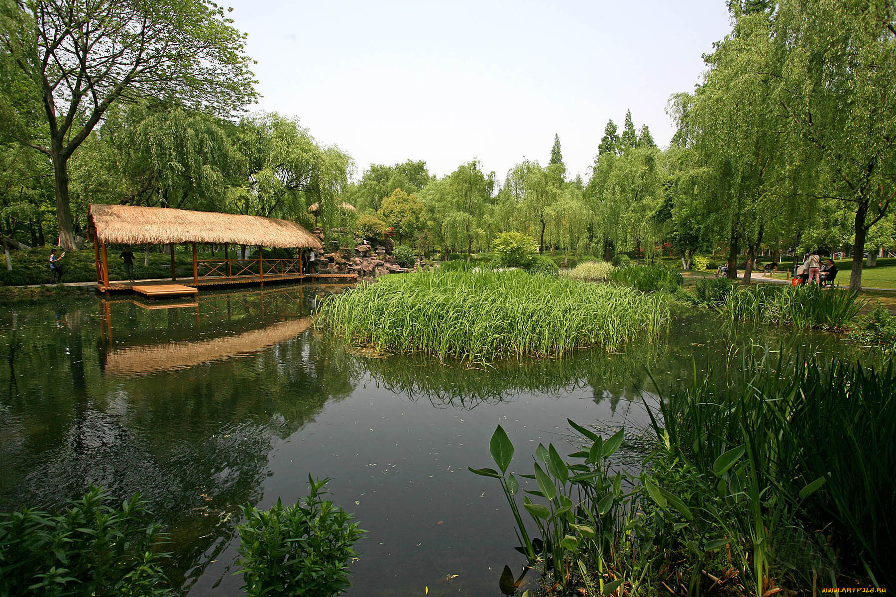 природа, парк, ландшафтный, ханчжоу