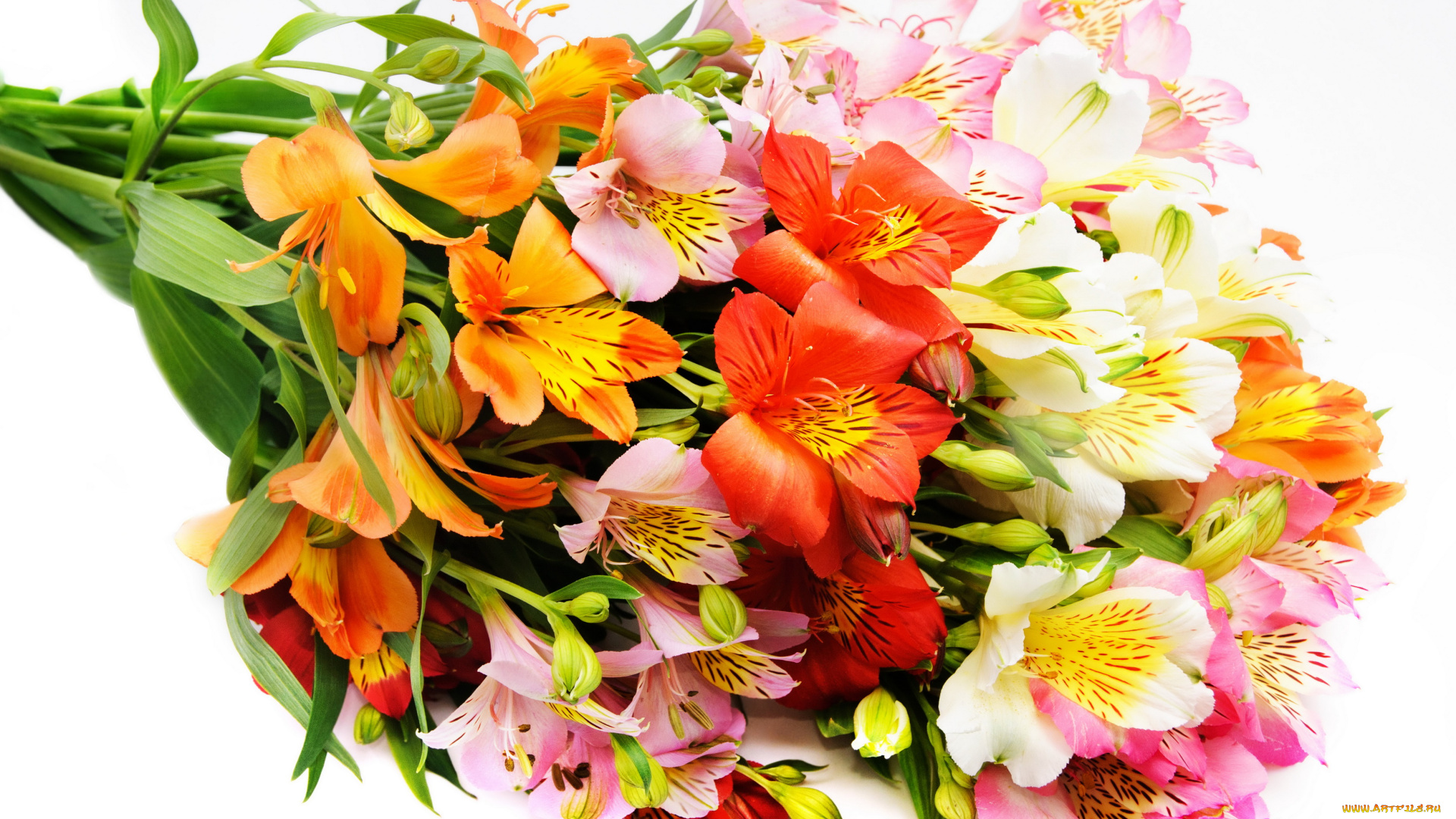 цветы, альстромерия, лилии, букет